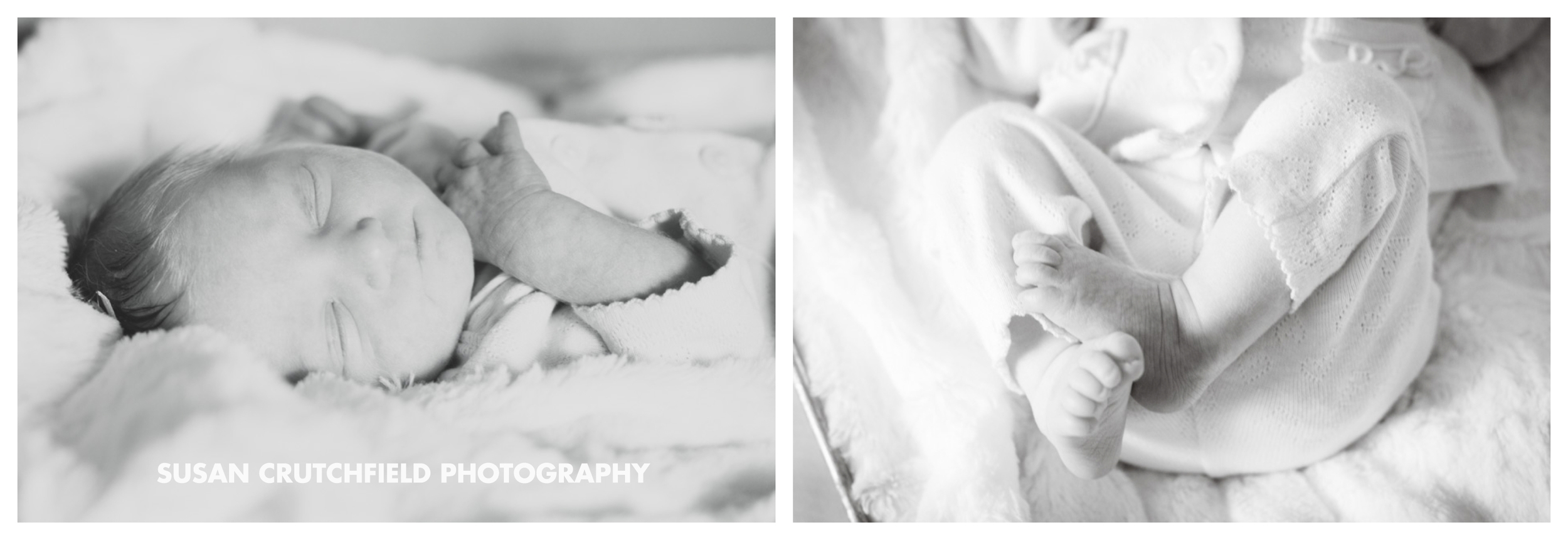 Chattanooga Newborn Photographer