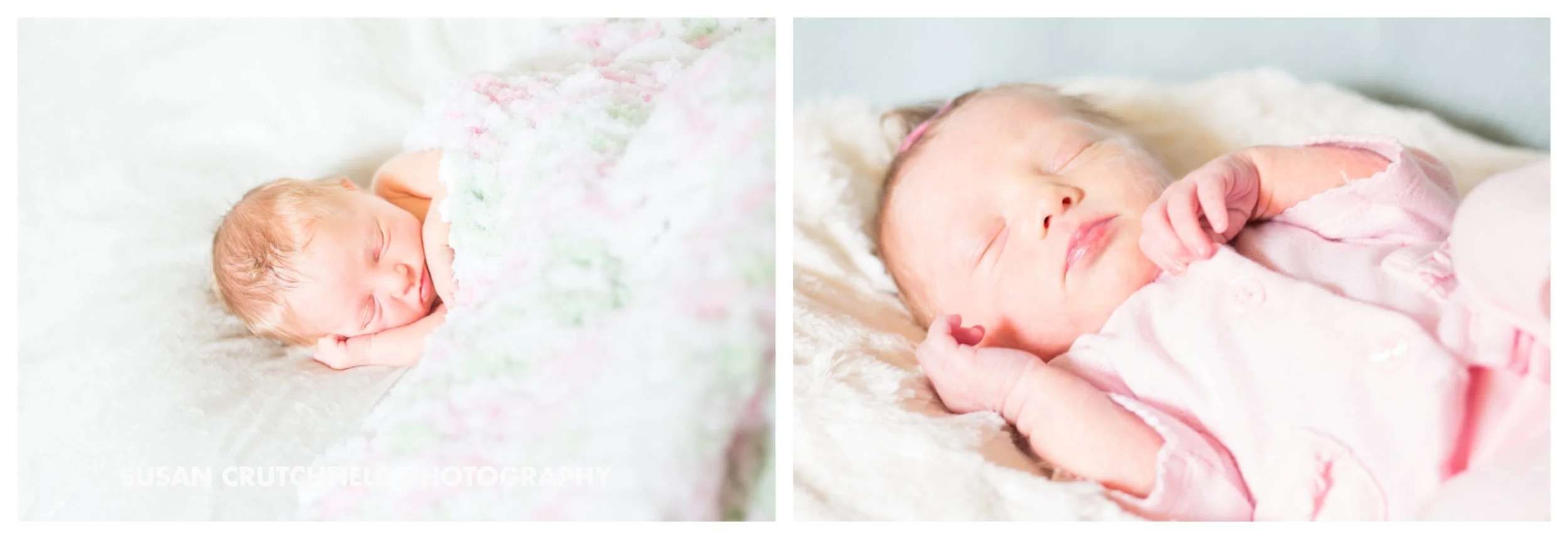 Chattanooga Newborn Photographer