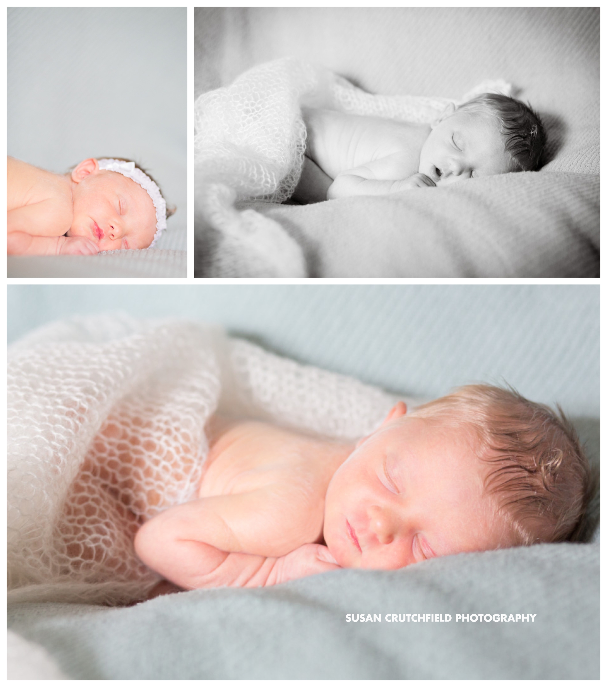 Tennessee Newborn Photographer