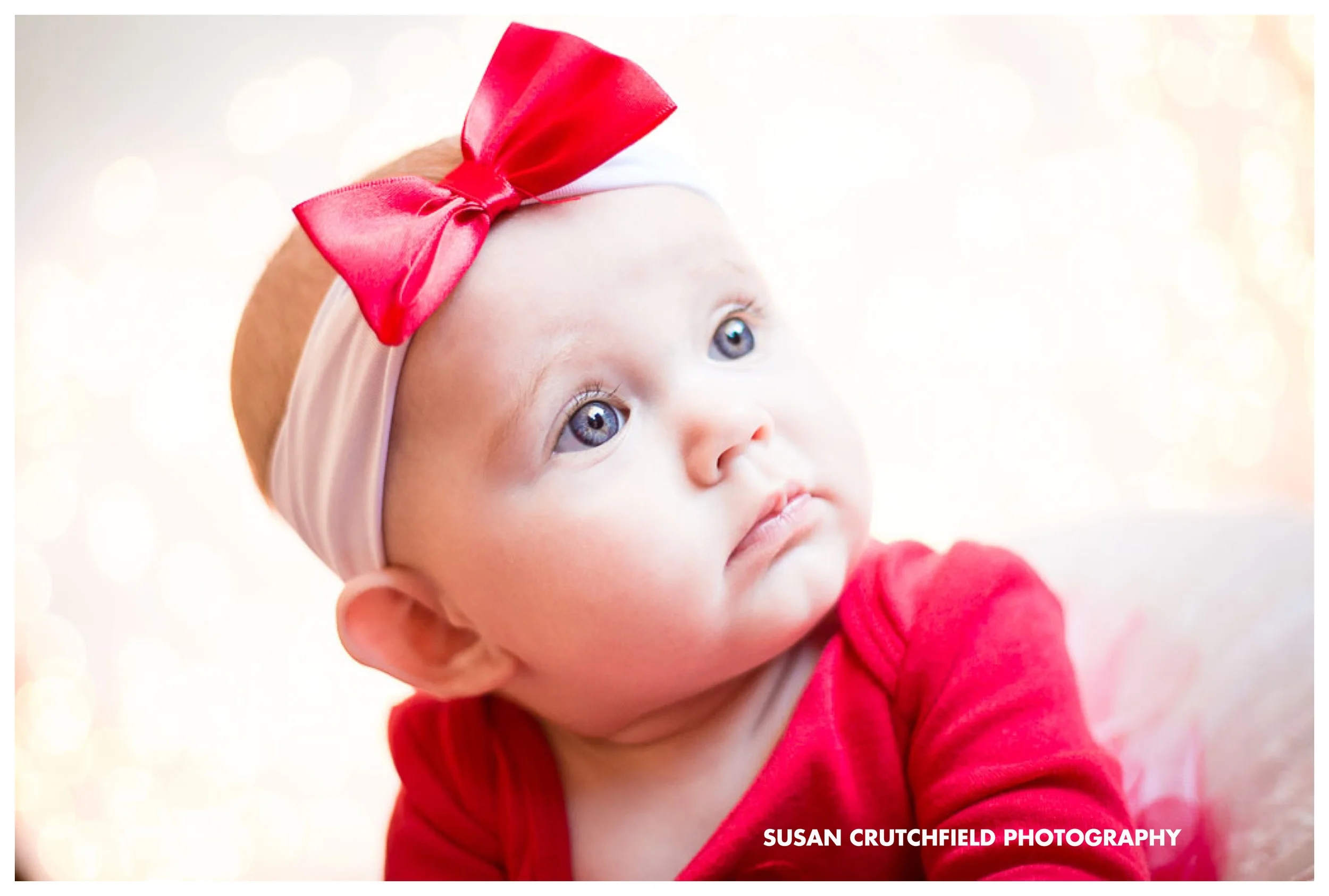 Pine Mountain Photographer