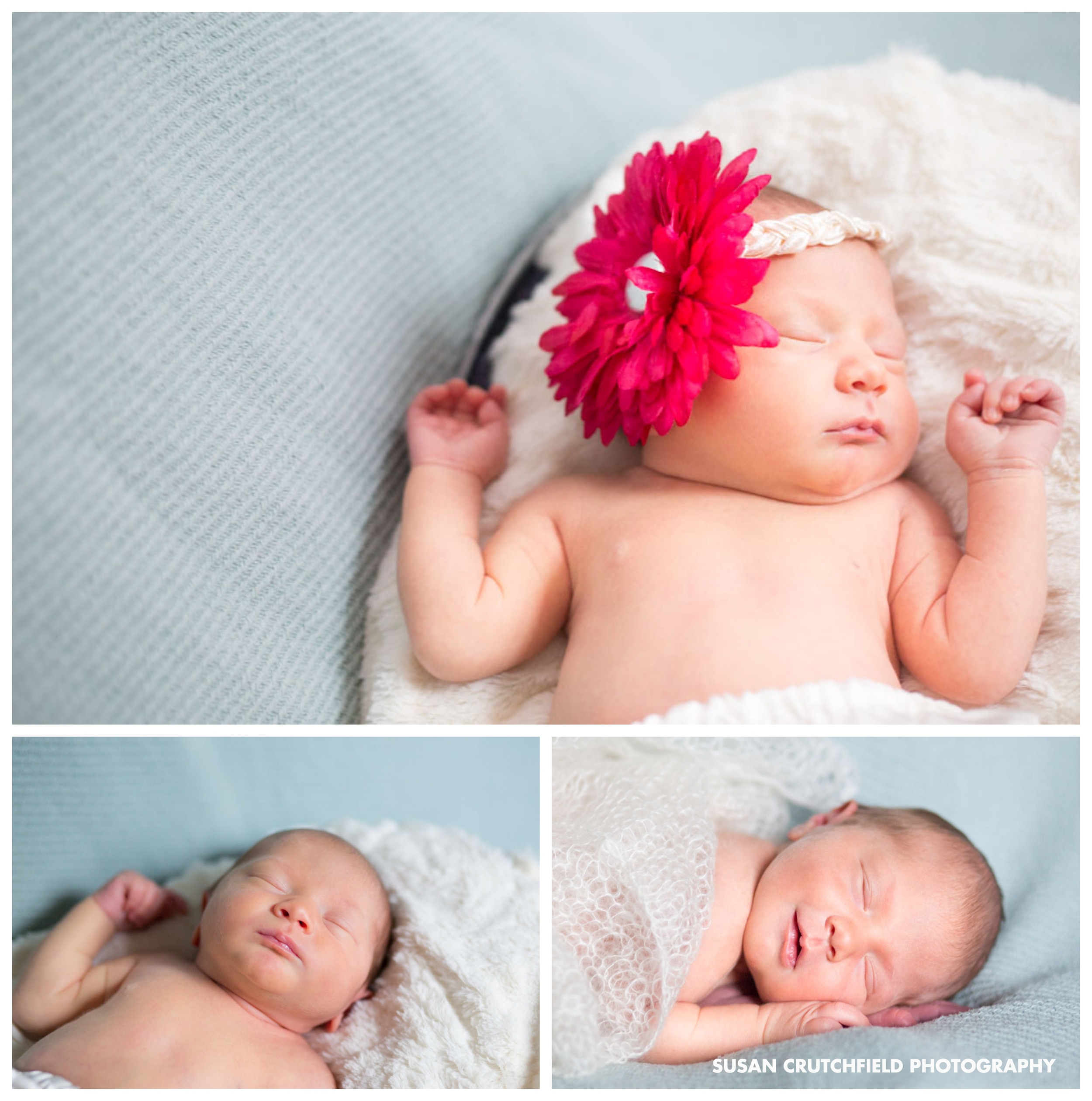 Roswell Newborn Photography