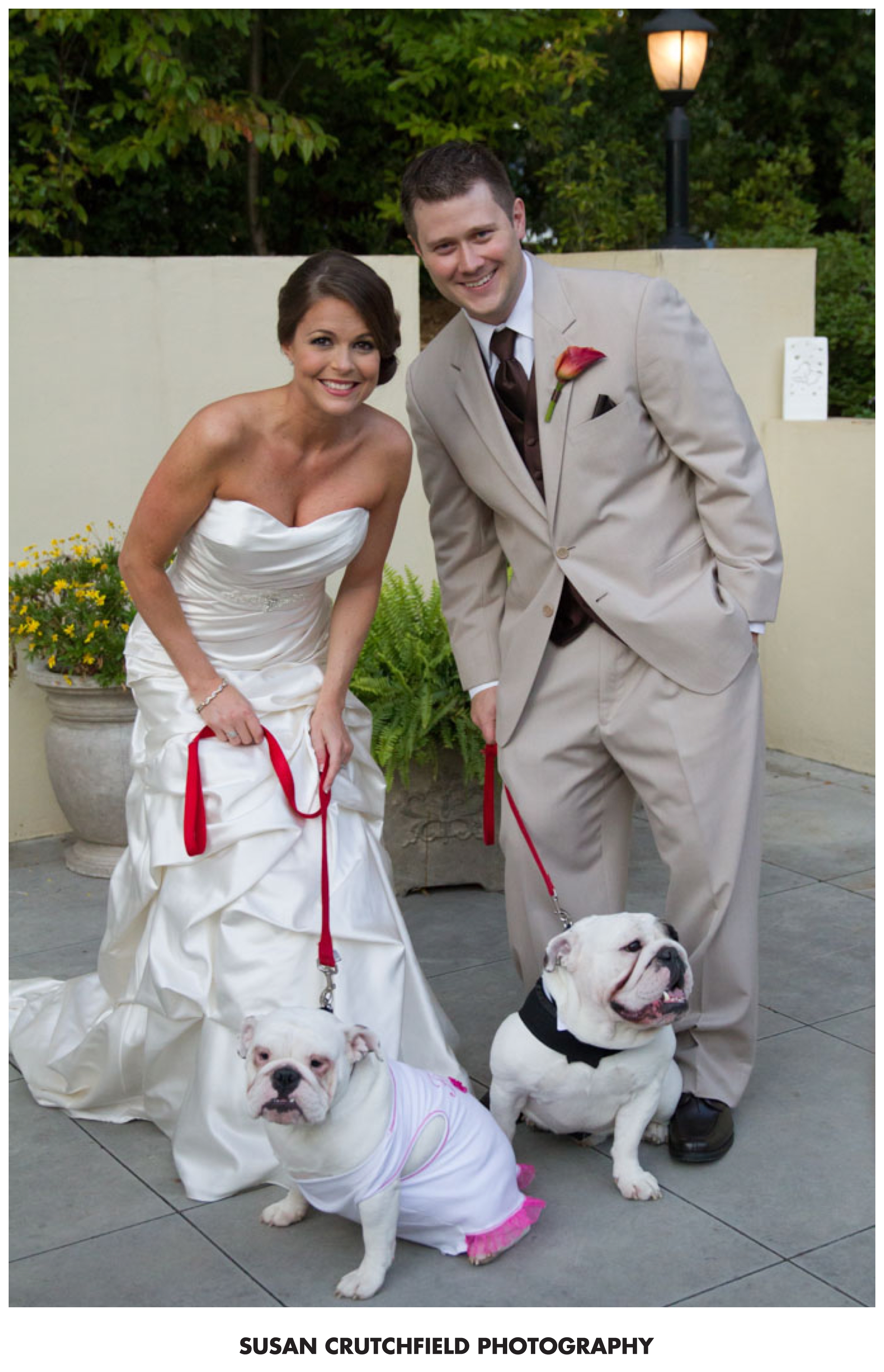 bulldog weddings