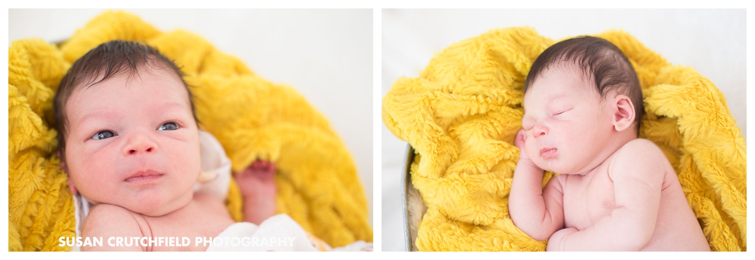 Brookhaven Newborn Photographer