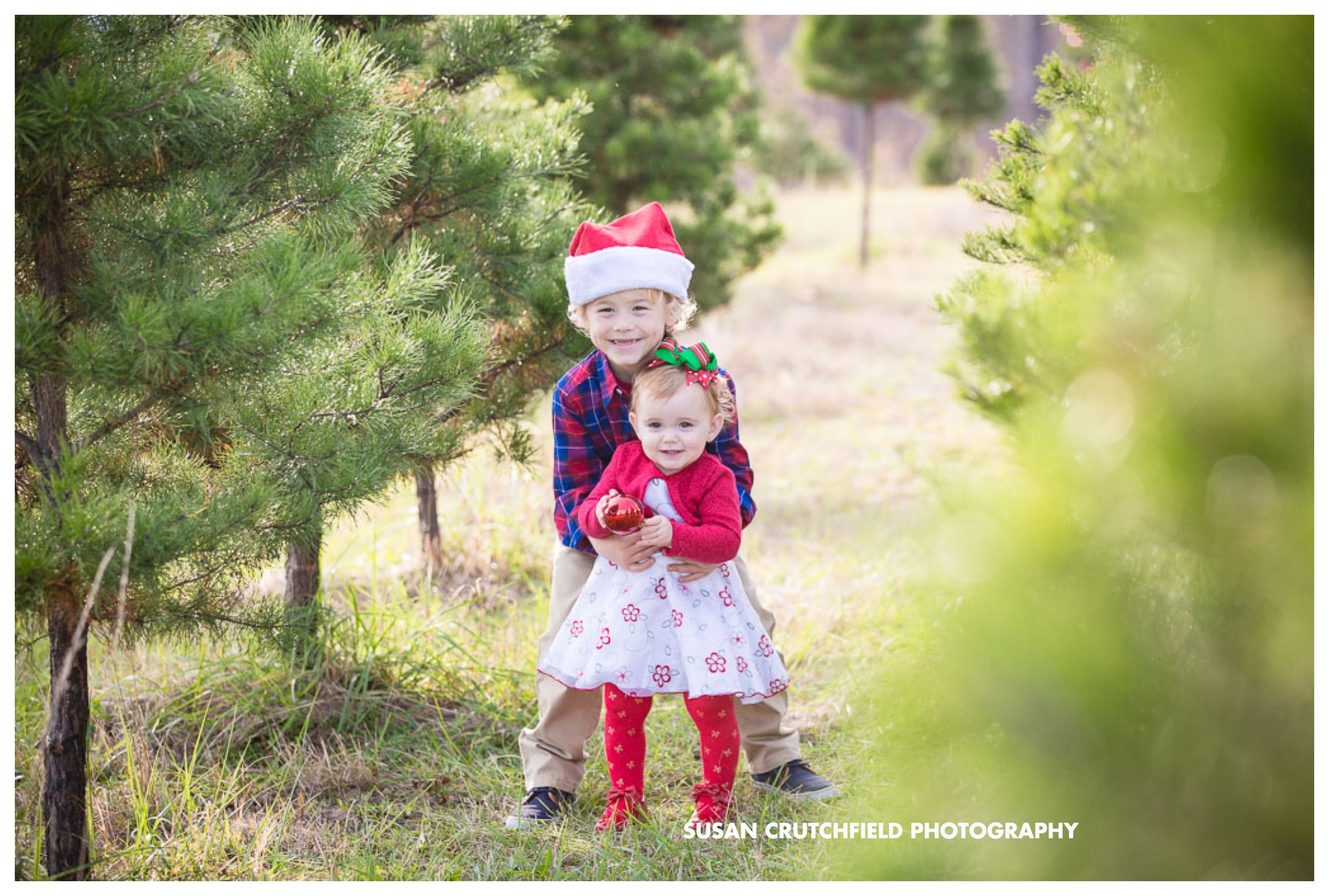 Pine Mountain Children's Photography