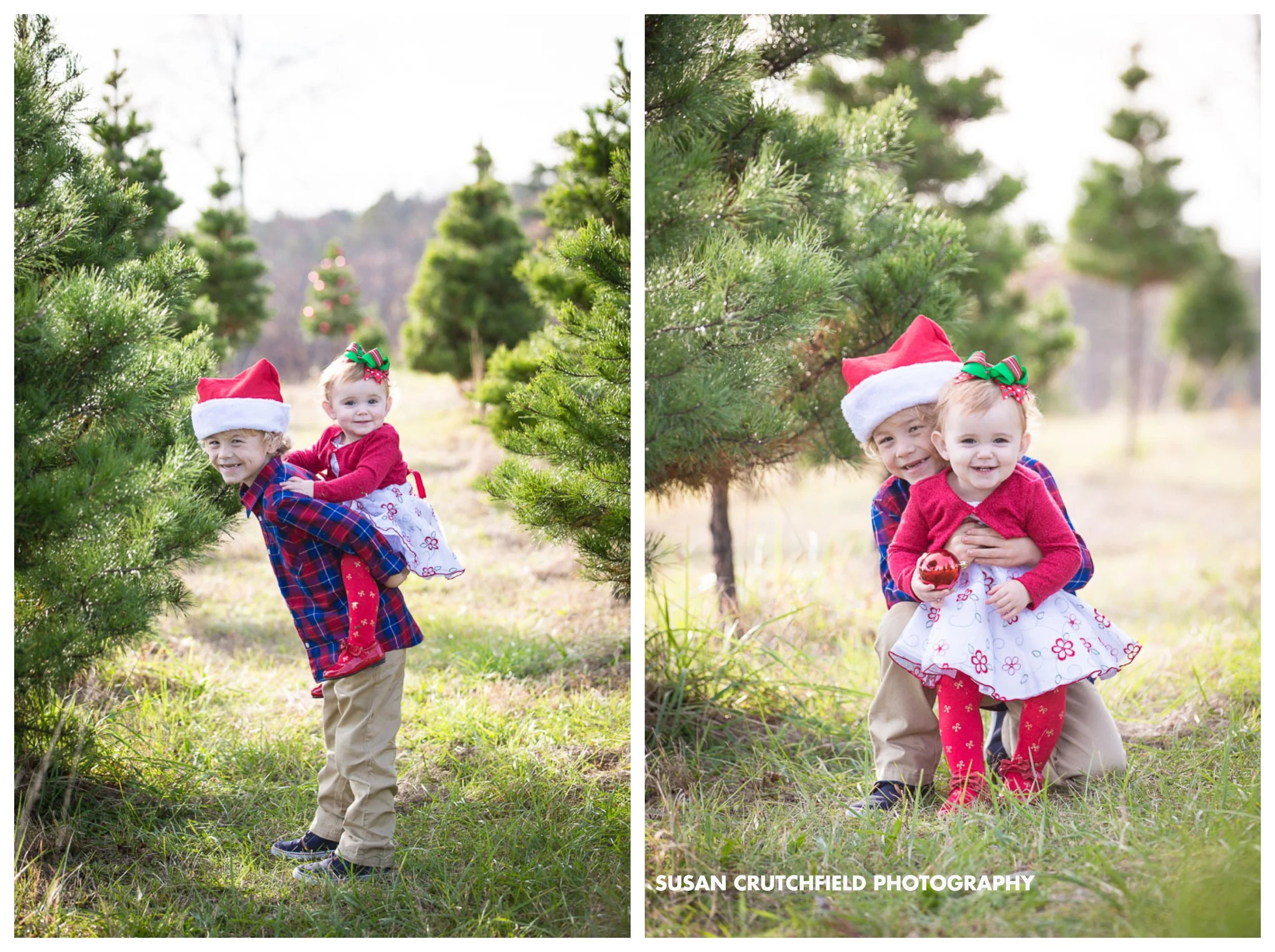 Pine Mountain Children's Photographer
