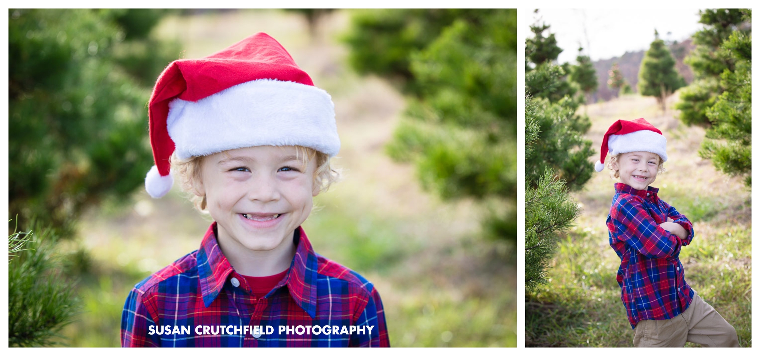 Pine Mountain Family Photography