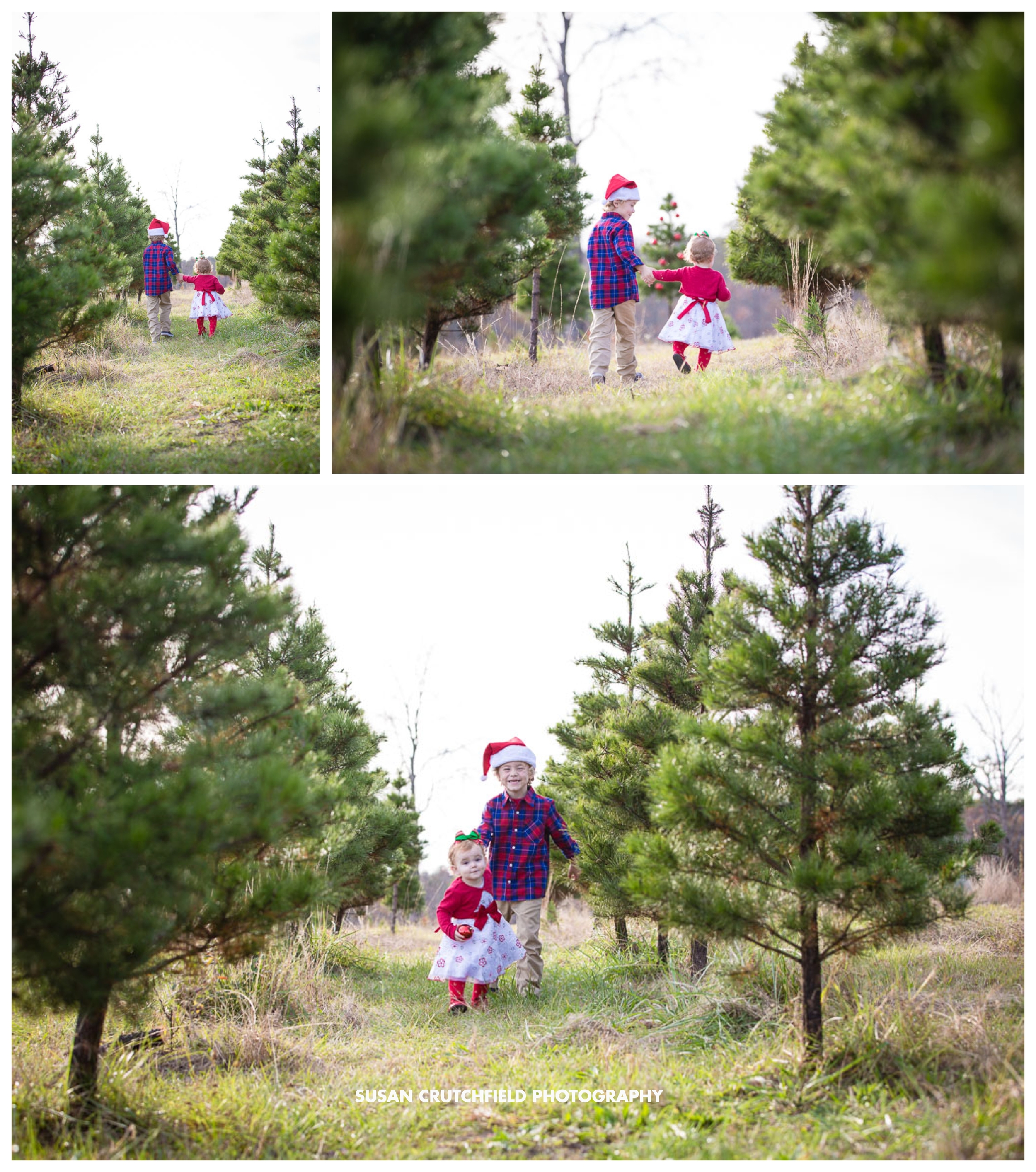 Pine Mountain Family Photographer