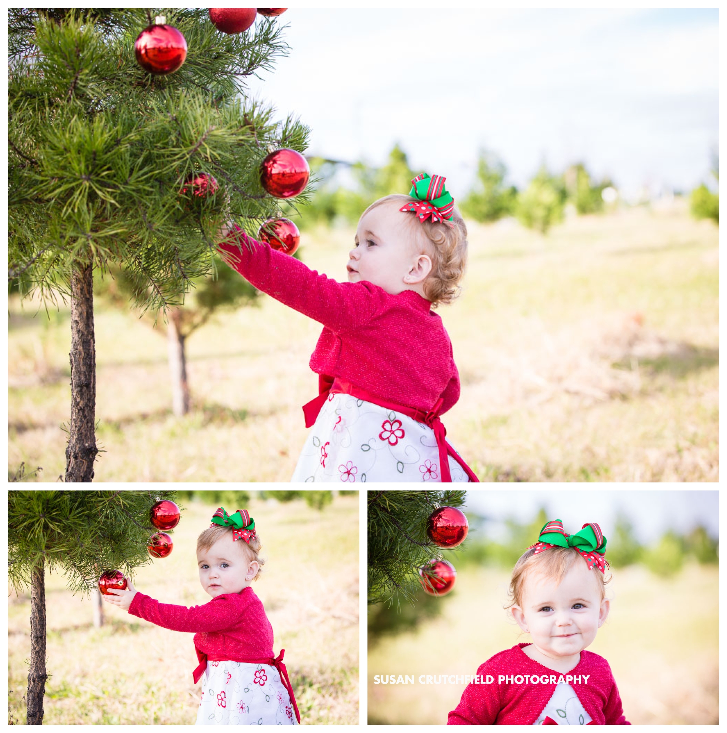 Pine Mountain Kids Photography