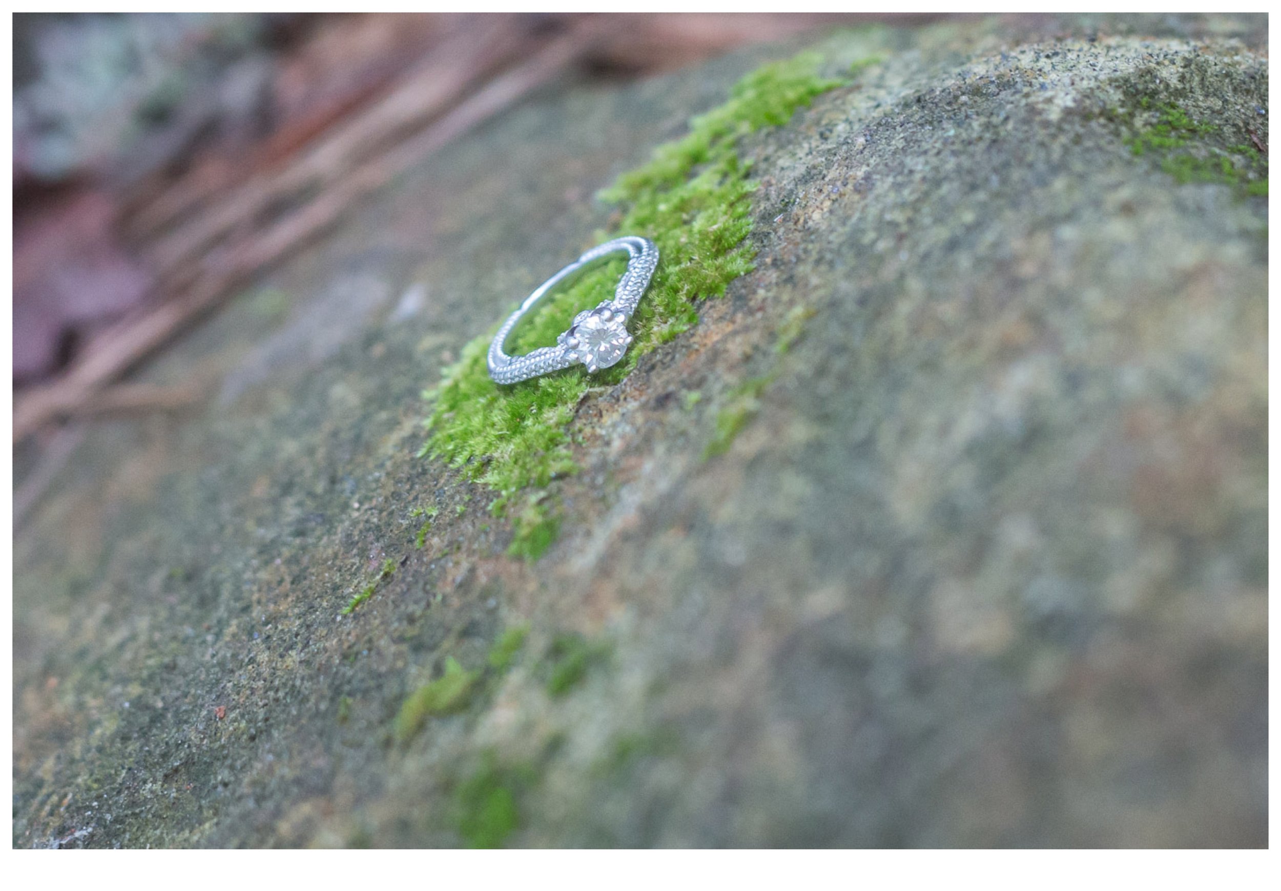 Peachtree City Engagement Photographer