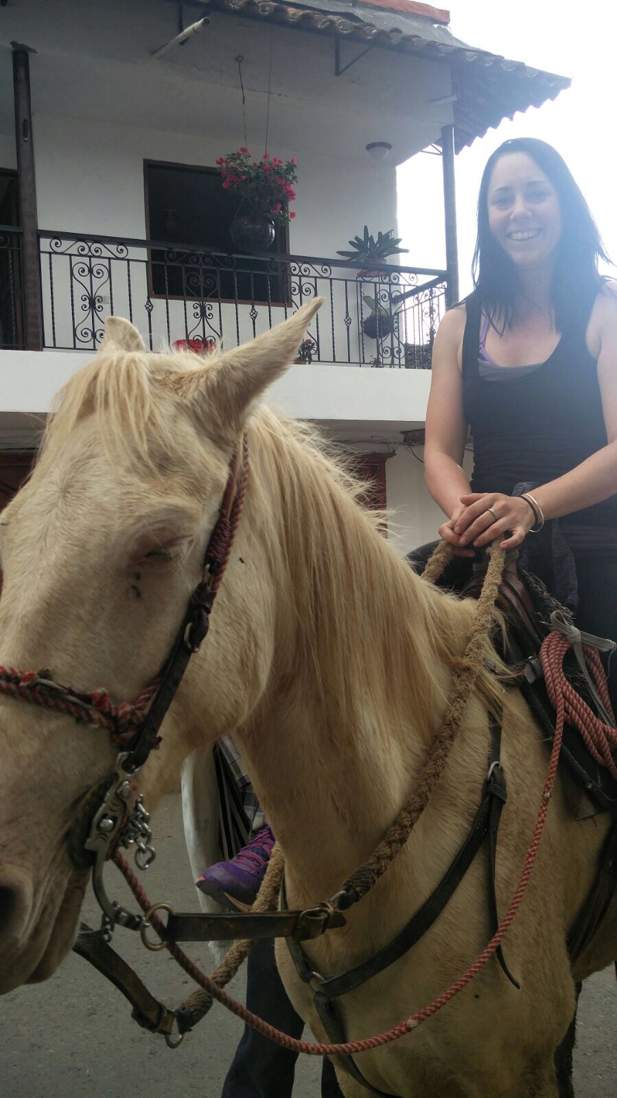 2017-02-18 16.03.58.jpg