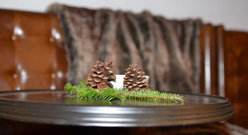 evergreen-detail.jpg