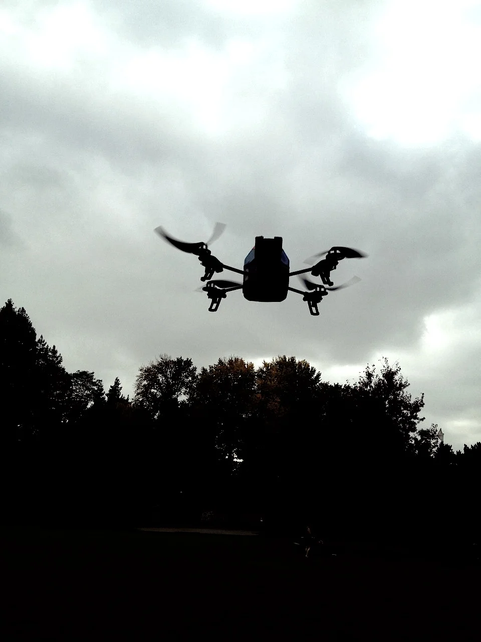  Mr. Drone test drive in the park