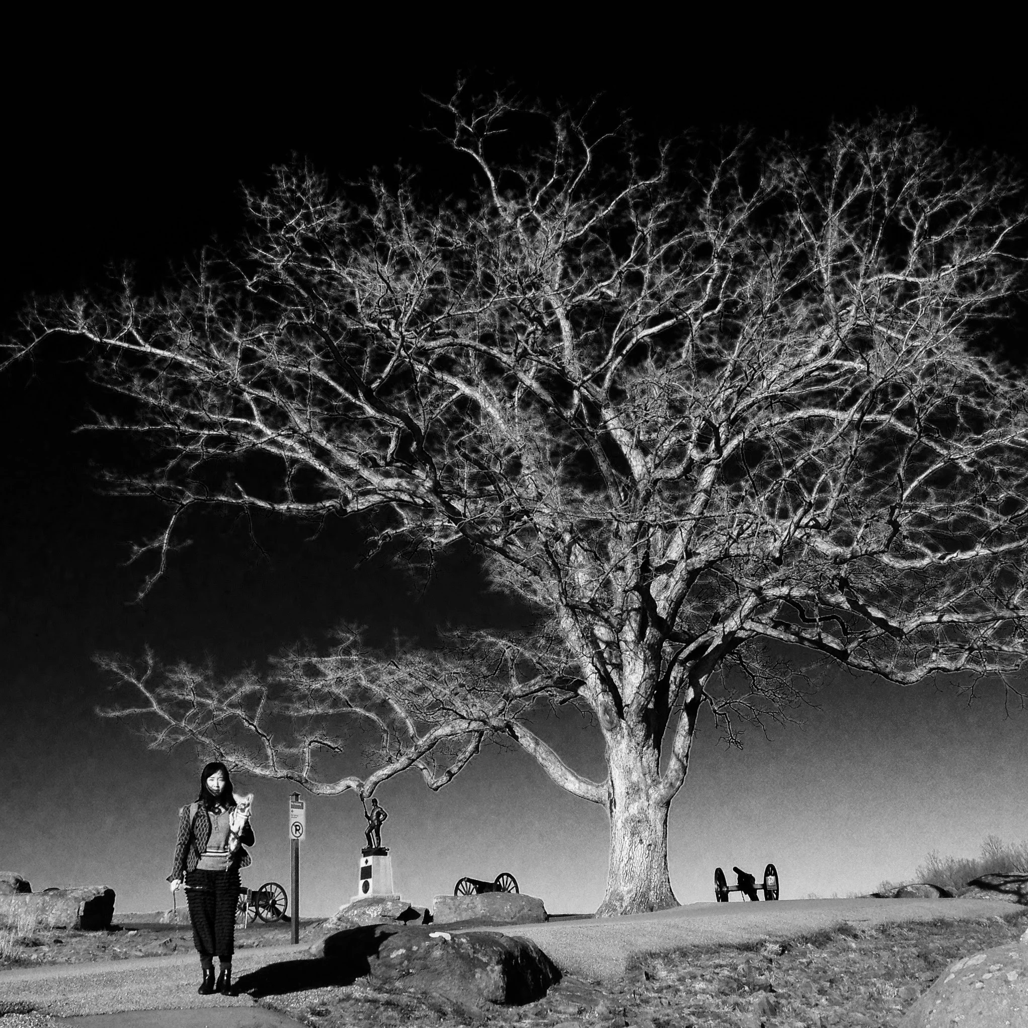 A Witness tree