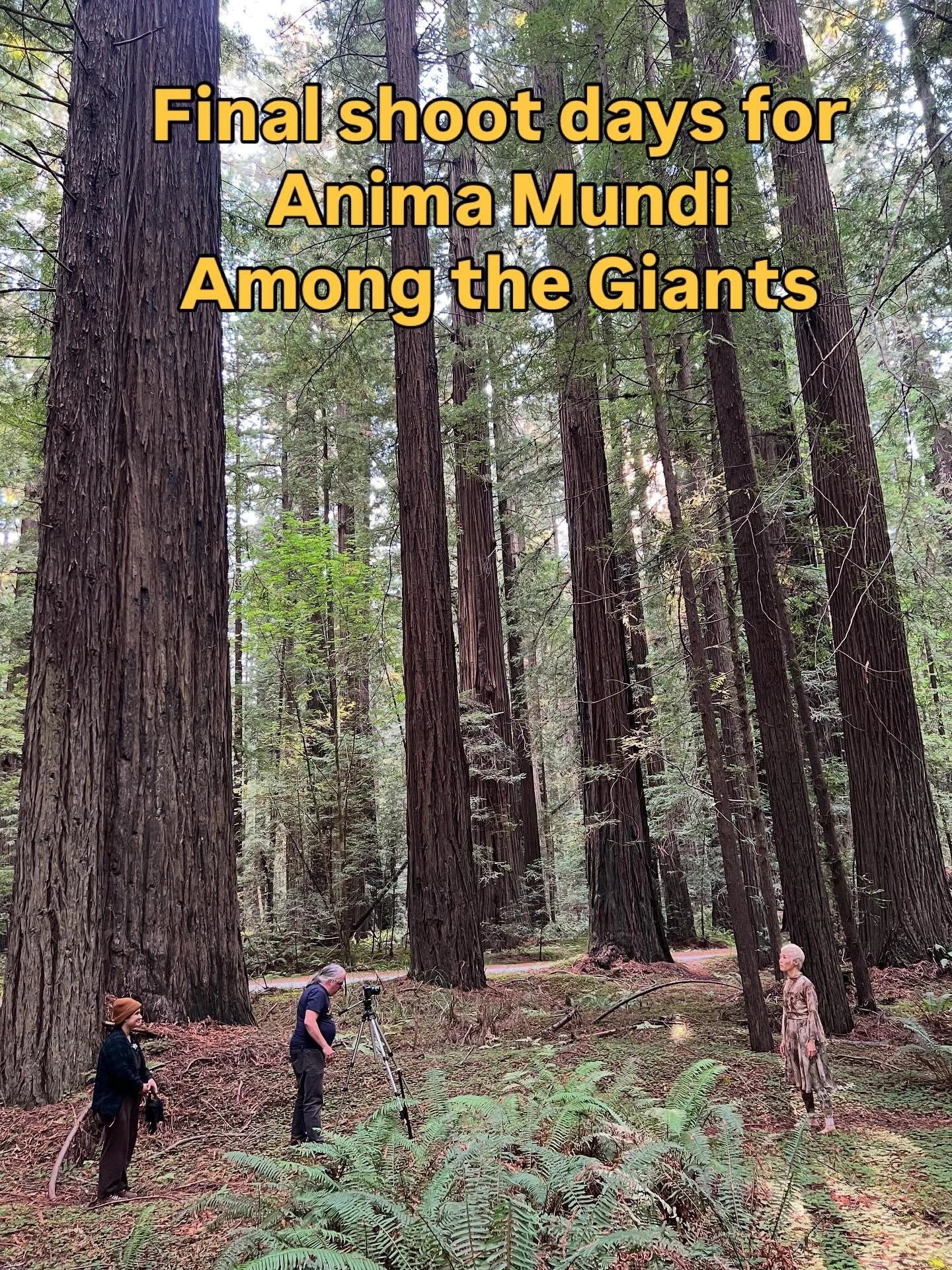 Anima Mundi premieres Valentines Day 2026. In the redwoods for our final video shoot.