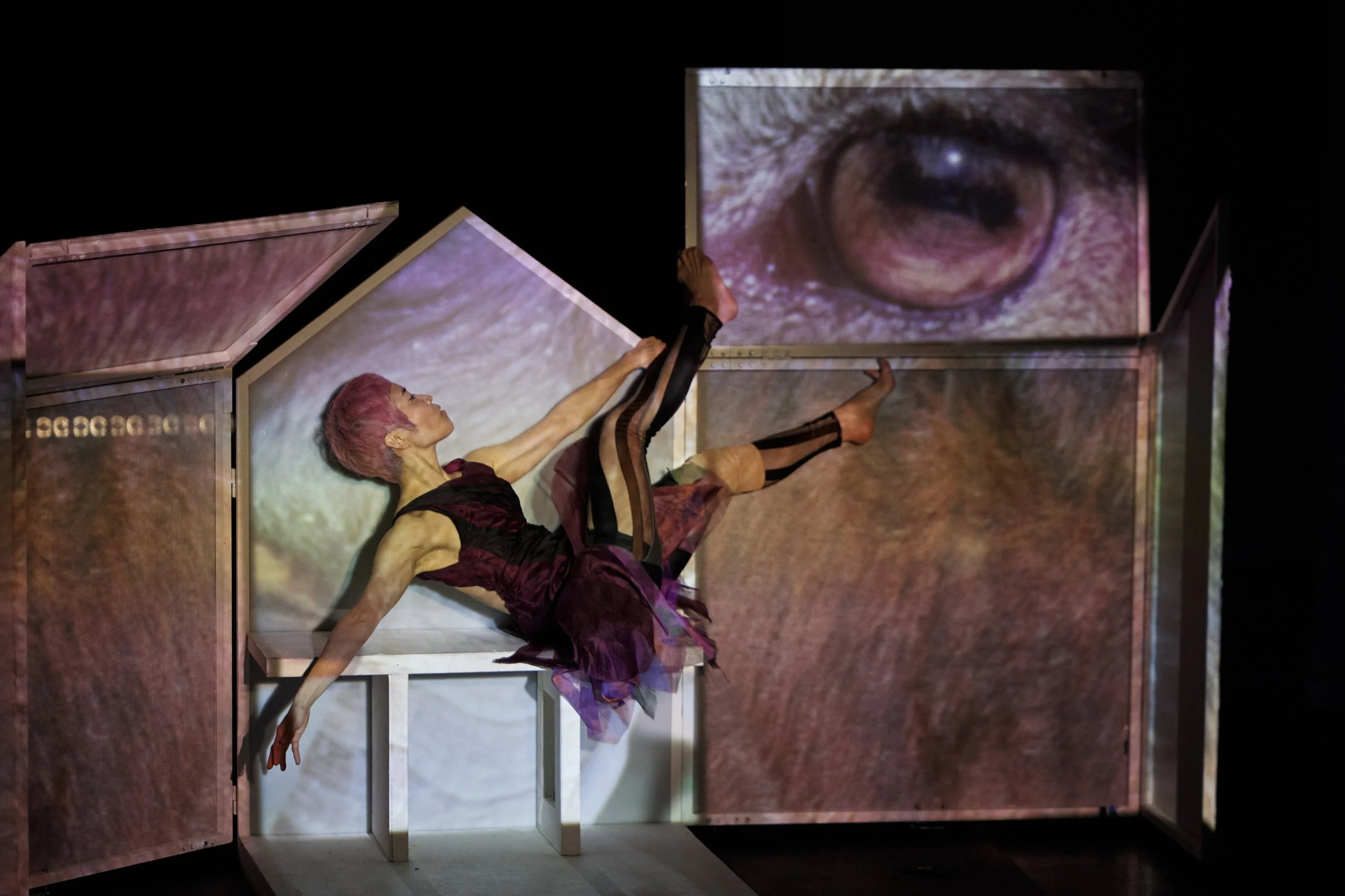 26-01-10_DAE_Anima Mundi Preview_100.jpg