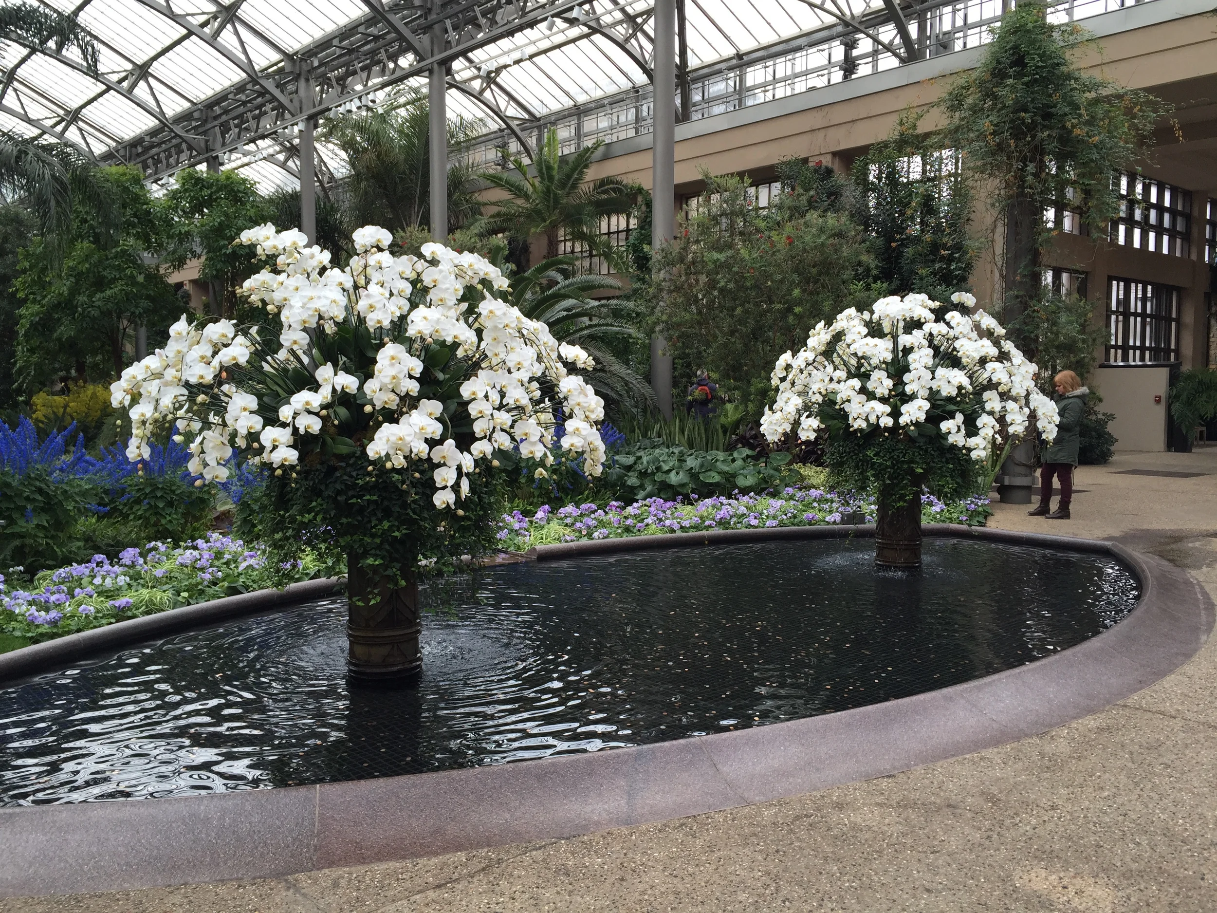 Inspirations & Thoughts of Spring