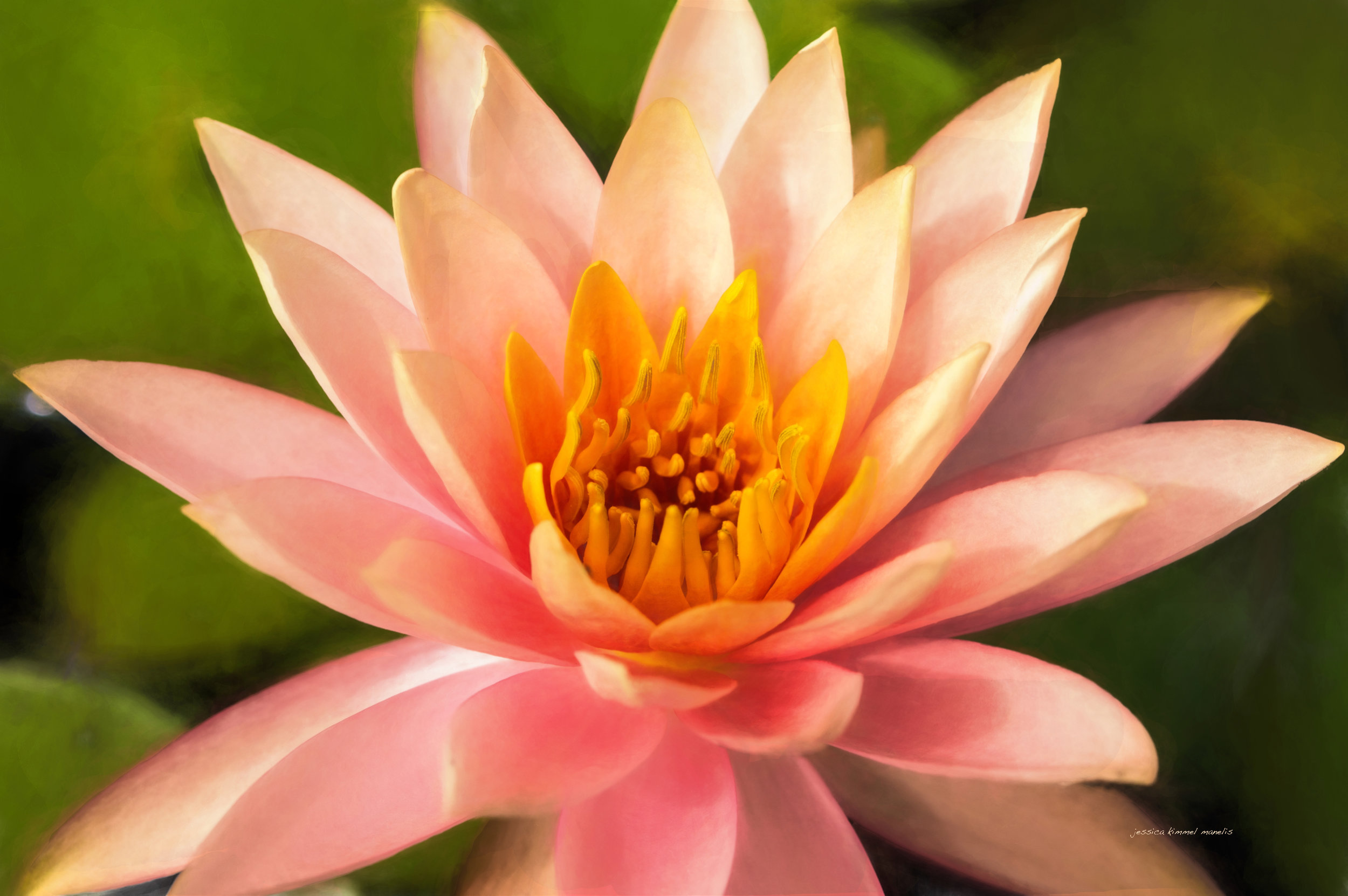 DSC_0033a.jpg