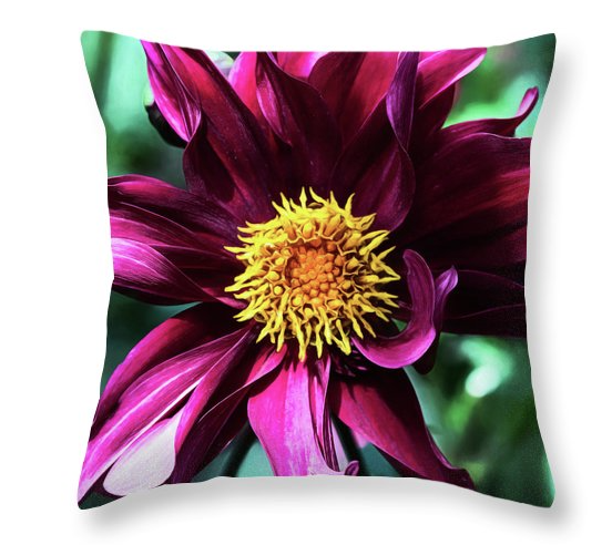 Screen Shot 2016-11-08 at 2.47.26 PM.png