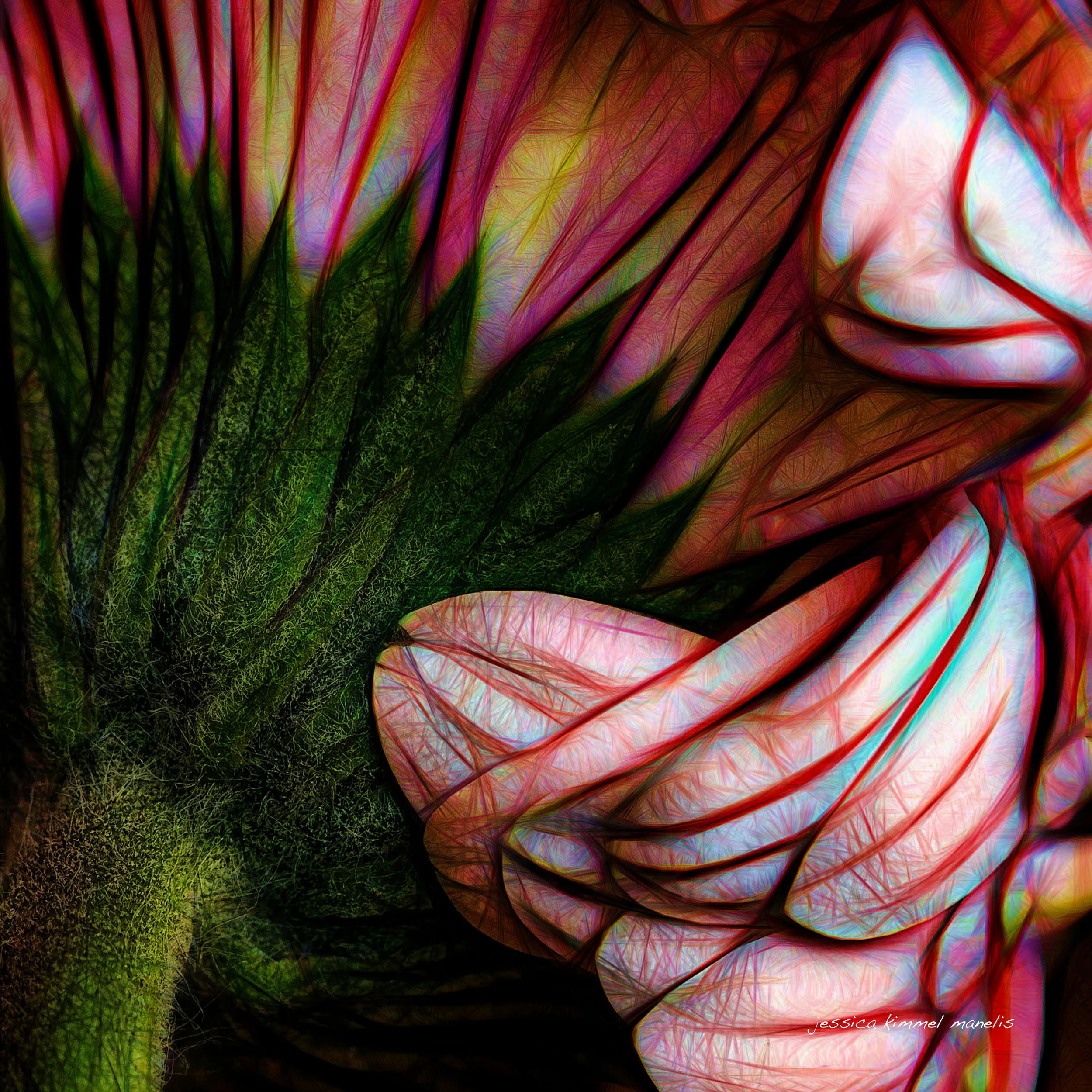 abstract copy.jpg