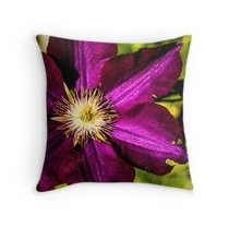 Bright Magenta Clematis Throw Pillow