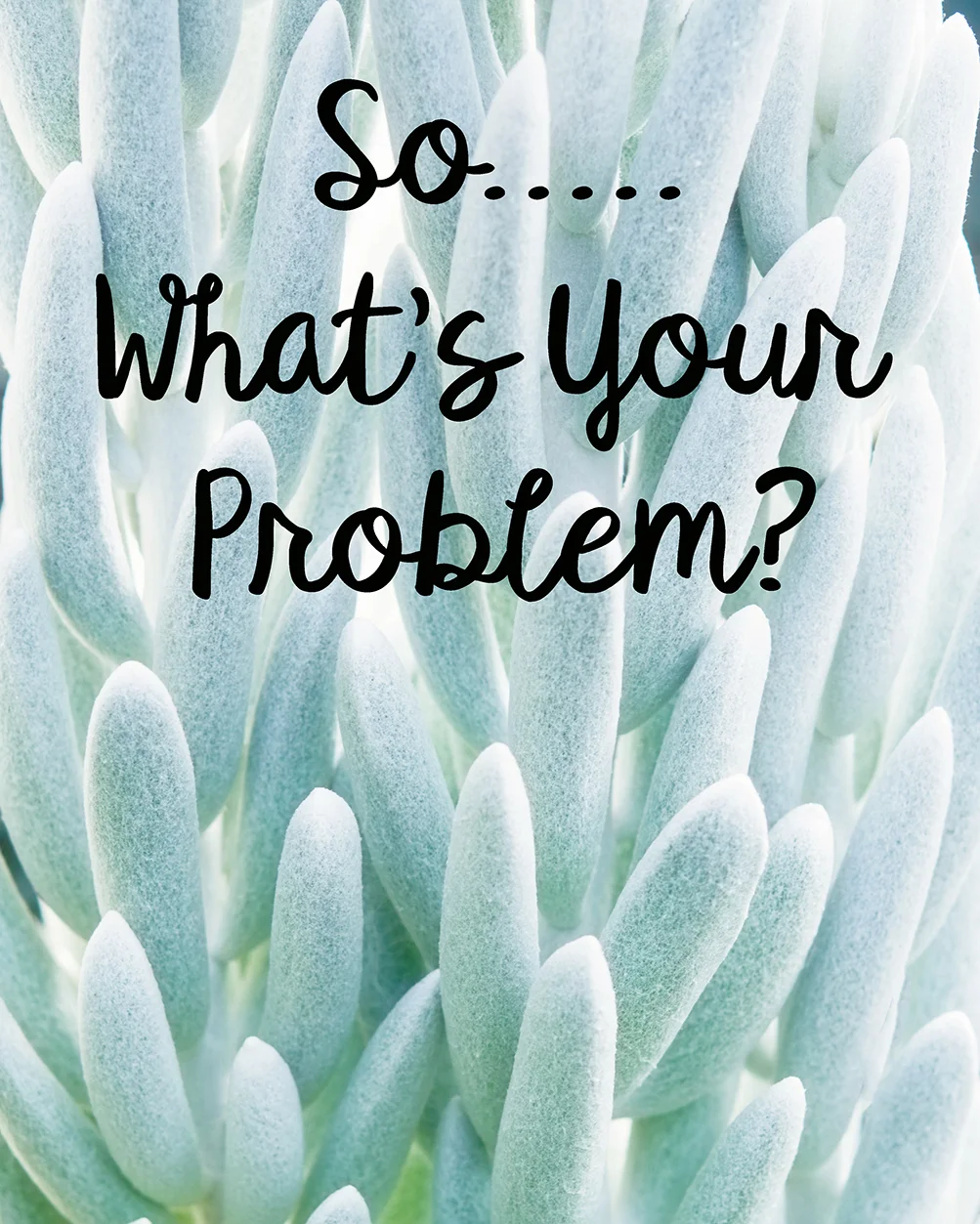 So What's Your Problem?