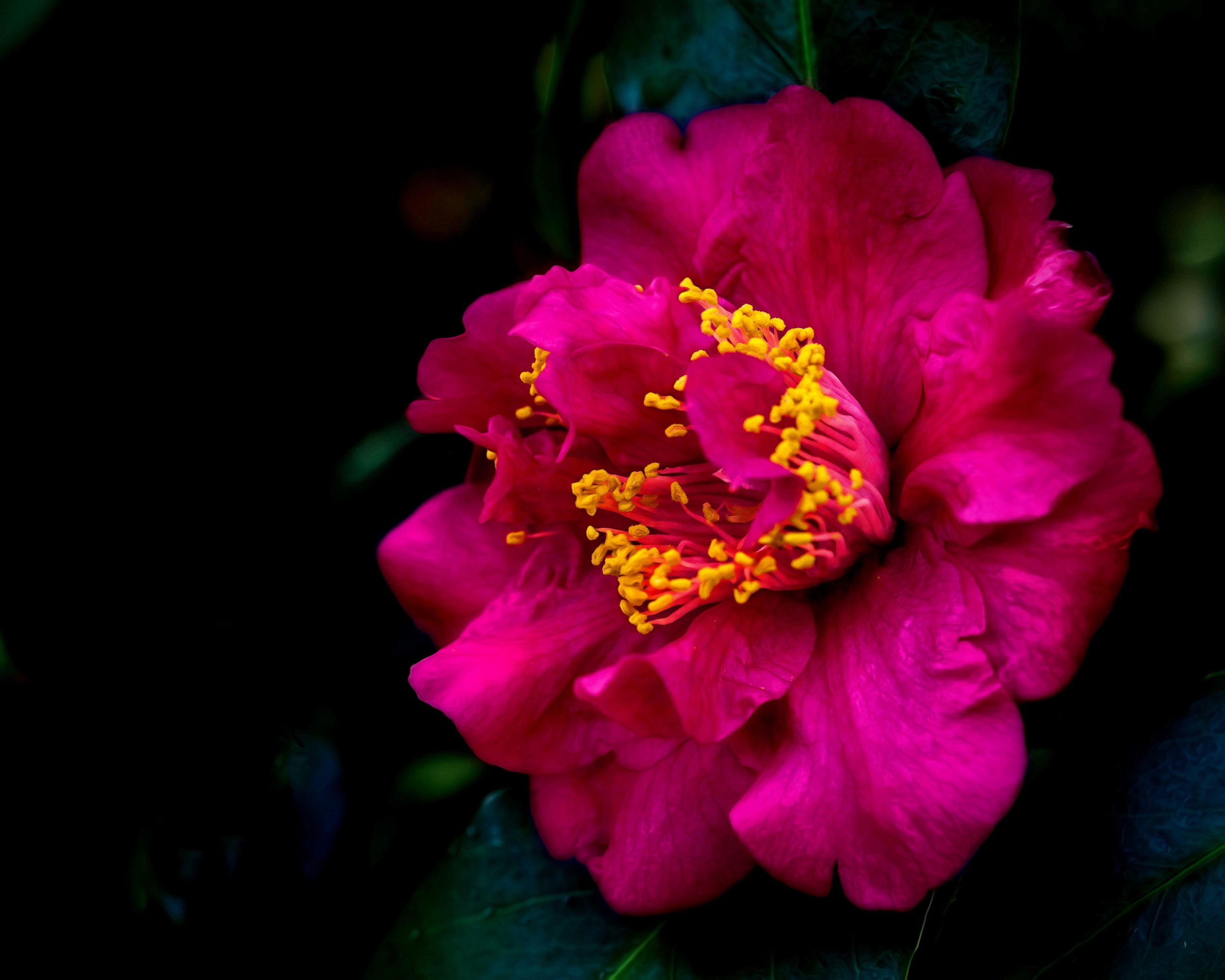 DSC_0030.jpg