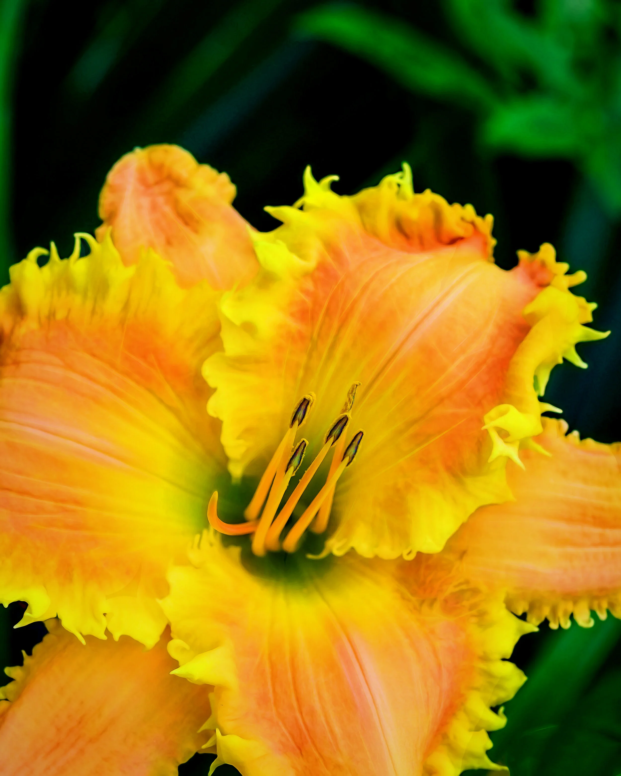 Yellow Pinnacle