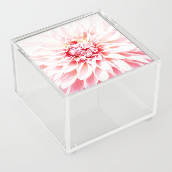 Screen Shot 2020-11-03 at 1.46.09 PM.png