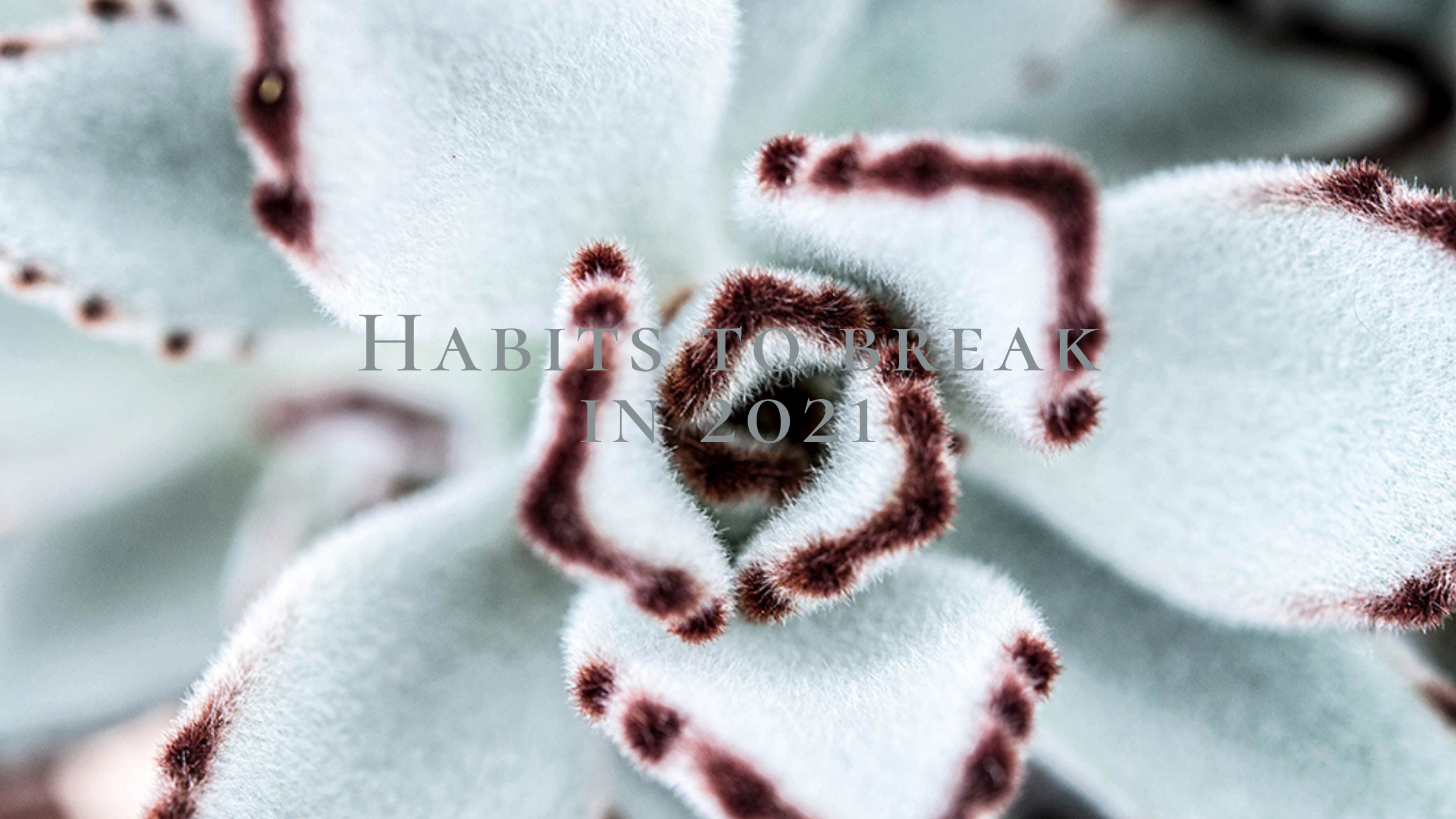 Habits To Break in 2021