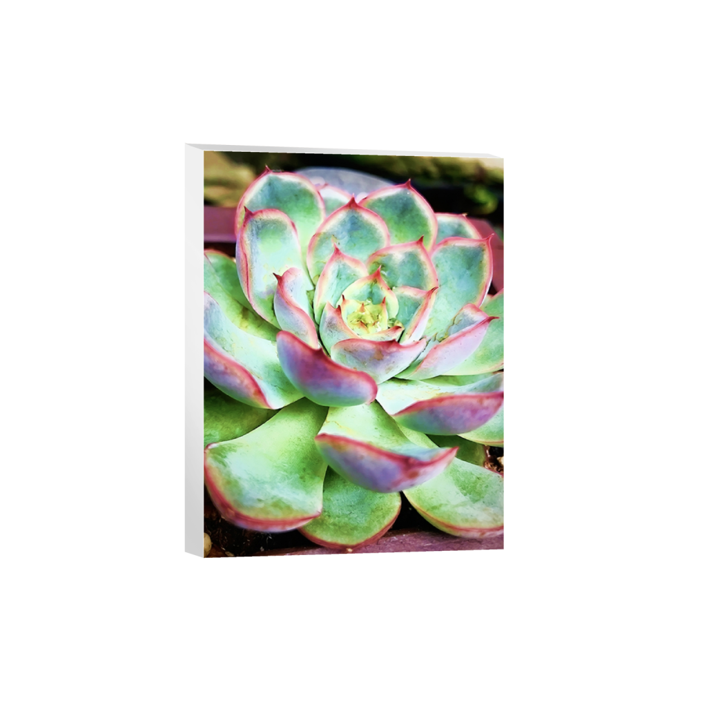 canvas_rectangle3_4_688_0_8122_10830_0.png