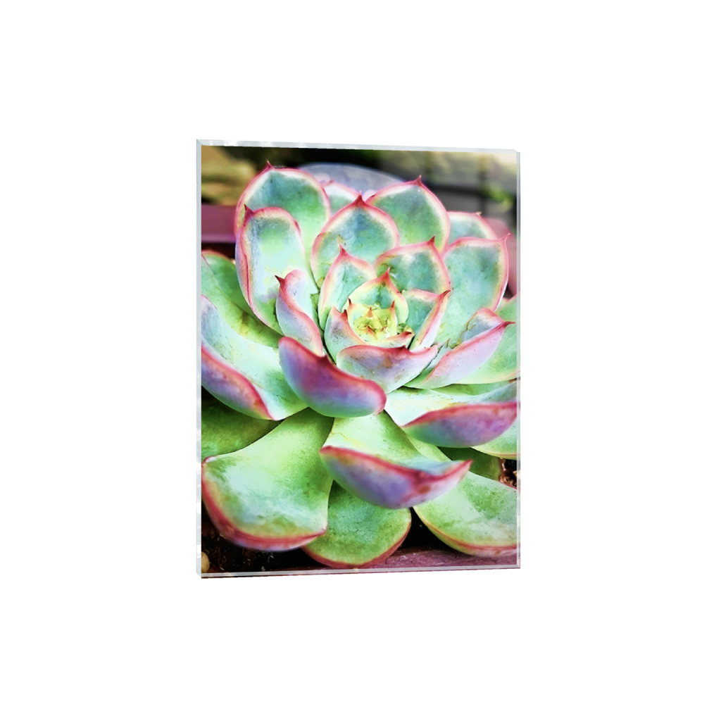 acrylicprint_rectangle3_4_688_0_8122_10830_0.png