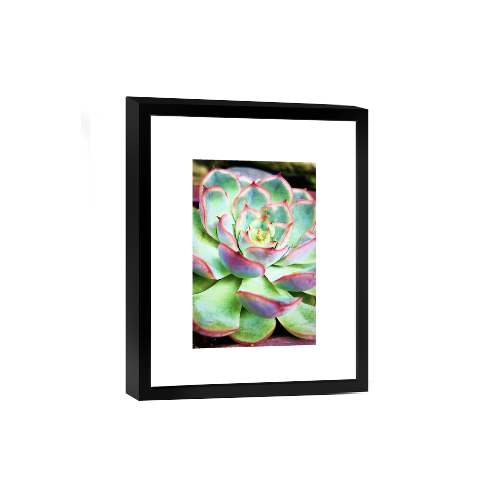 smartframe_rectangle2_3_1140_0_7220_10830_0.png
