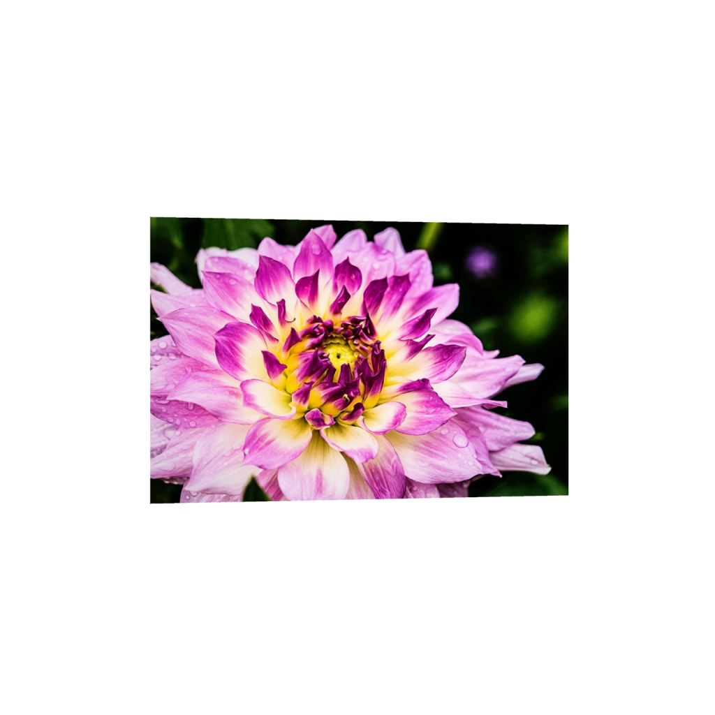 fineartprints_rectangle2_3_0_24_1024_682_0.png