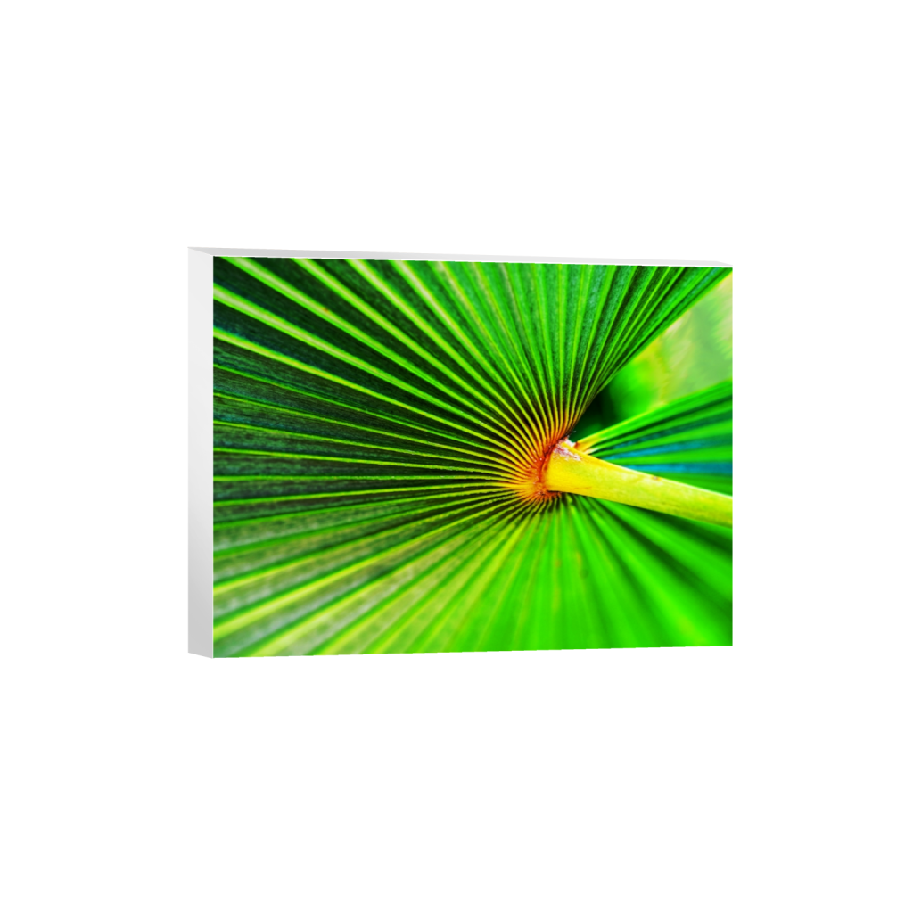 canvas_rectangle3_4_288_0_4352_3264_0.png
