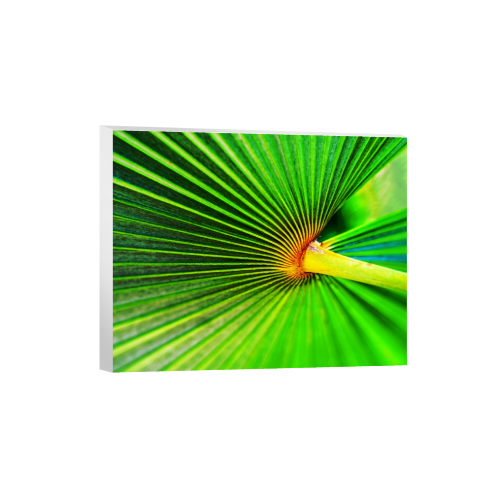 canvas_rectangle4_5_424_0_4080_3264_0.png