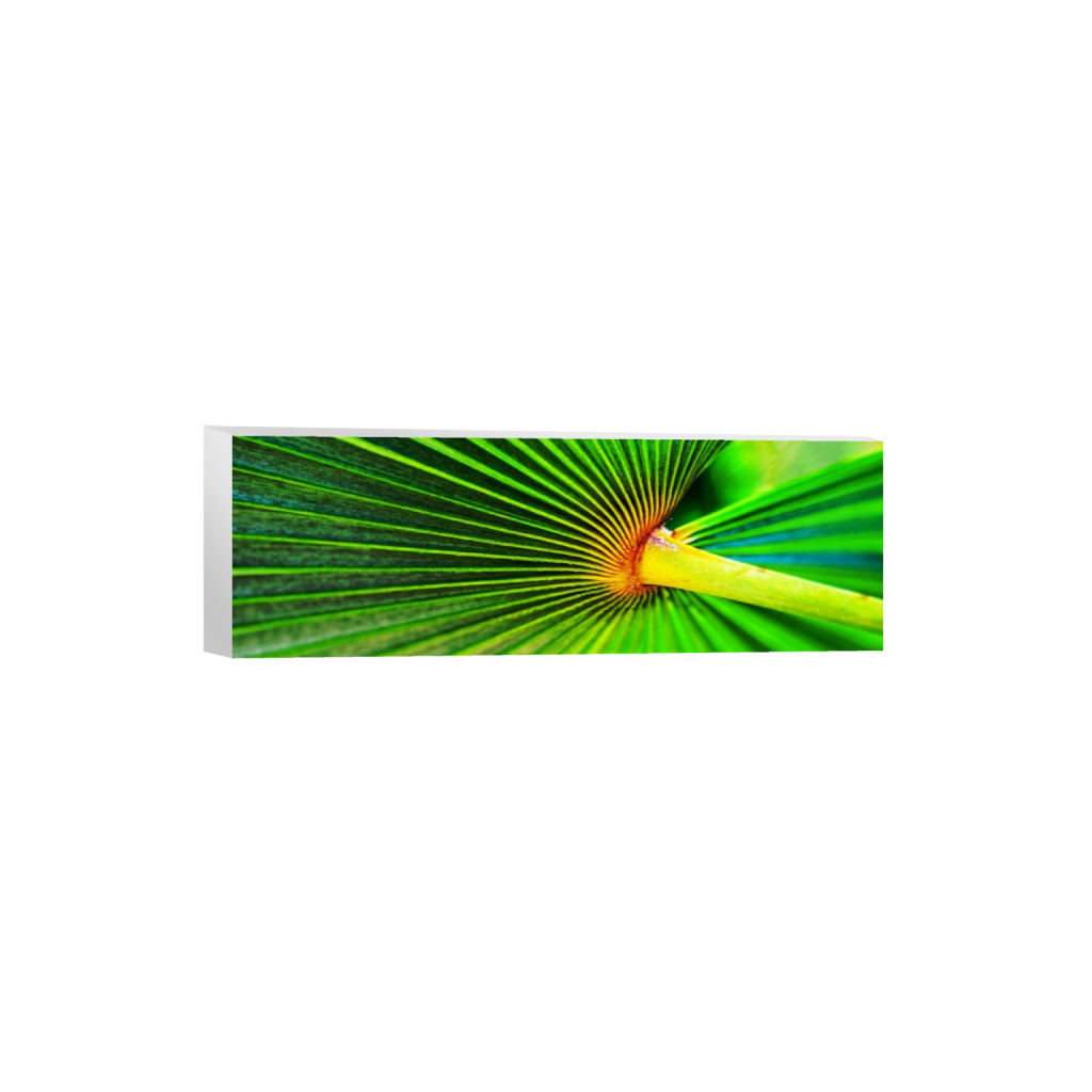 canvas_rectangle1_3_0_810_4928_1642_0.png