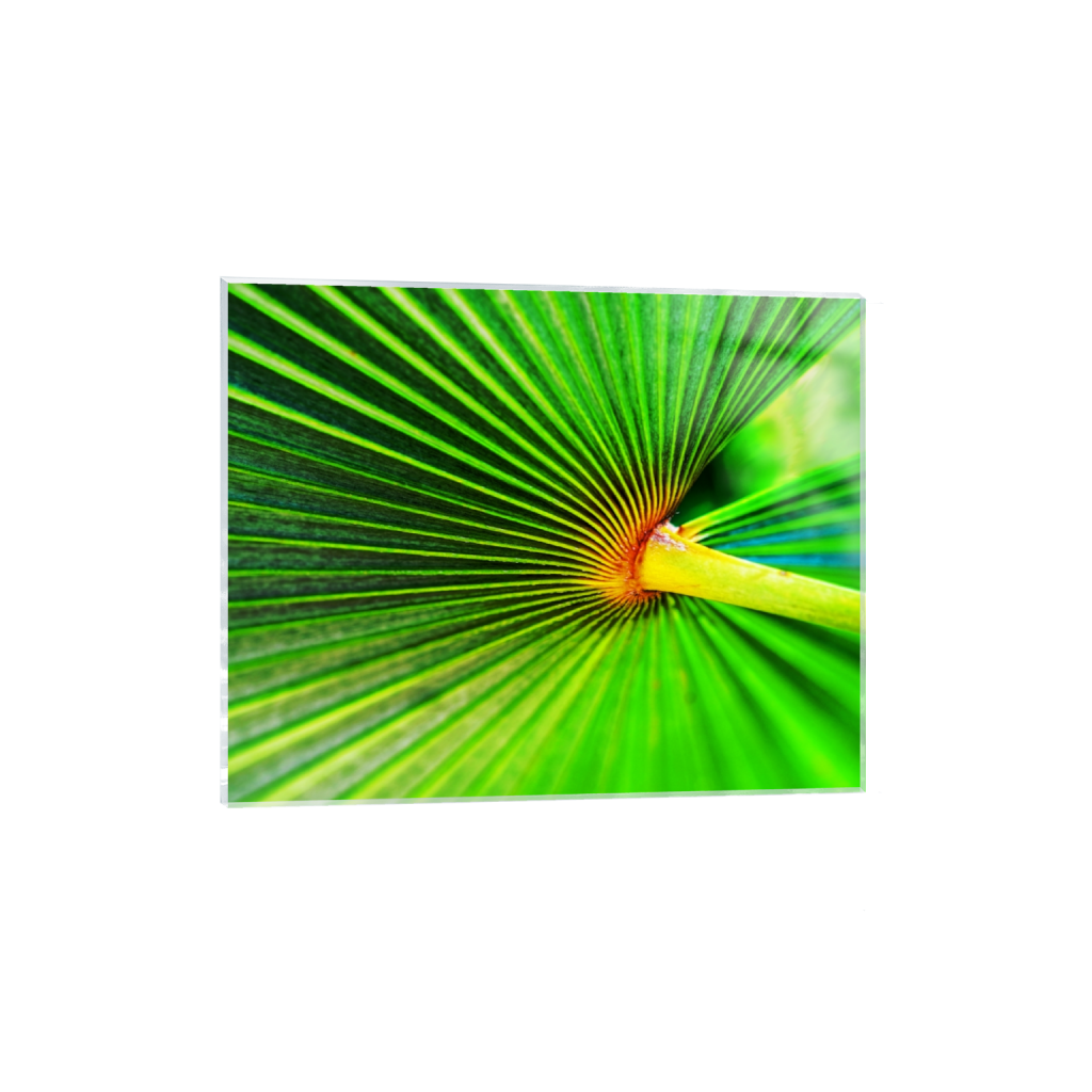 acrylicprint_rectangle4_5_424_0_4080_3264_0.png