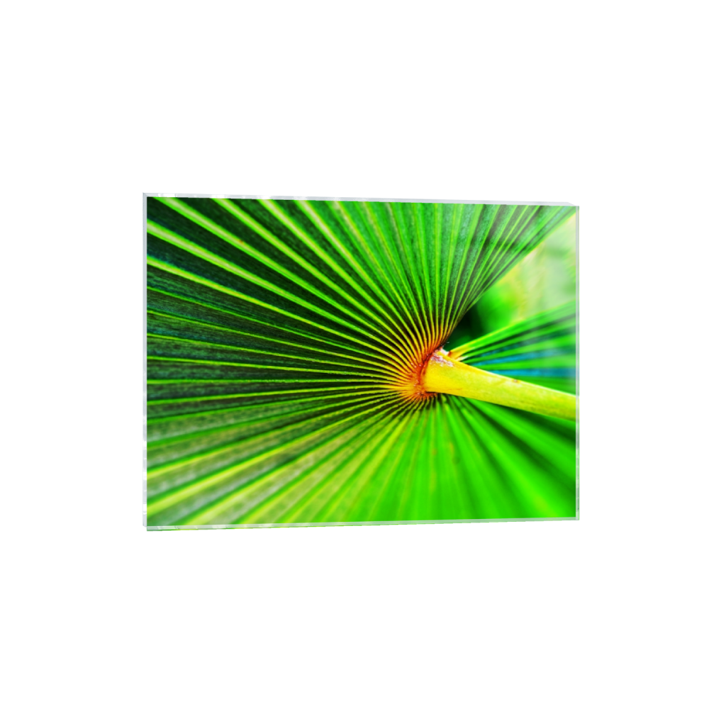acrylicprint_rectangle3_4_288_0_4352_3264_0.png