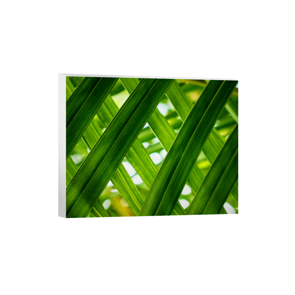 canvas_rectangle4_5_141_0_4310_3448_0.png