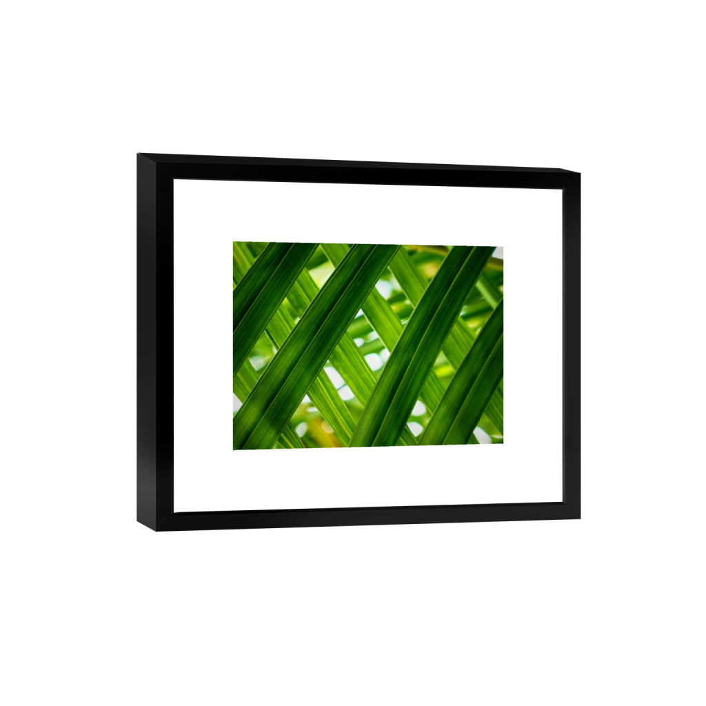 smartframe_rectangle3_4_0_2_4592_3444_0.png