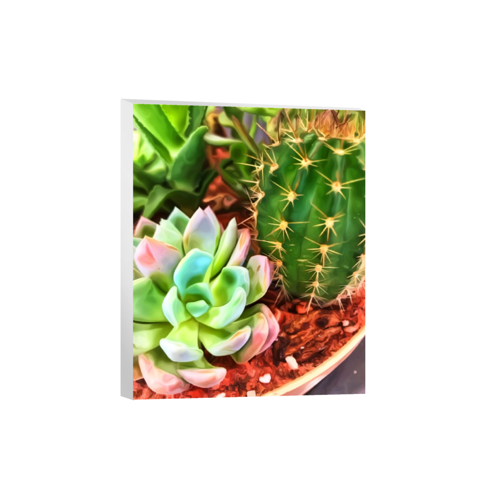 canvas_rectangle4_5_0_0_1115_1394_0.png