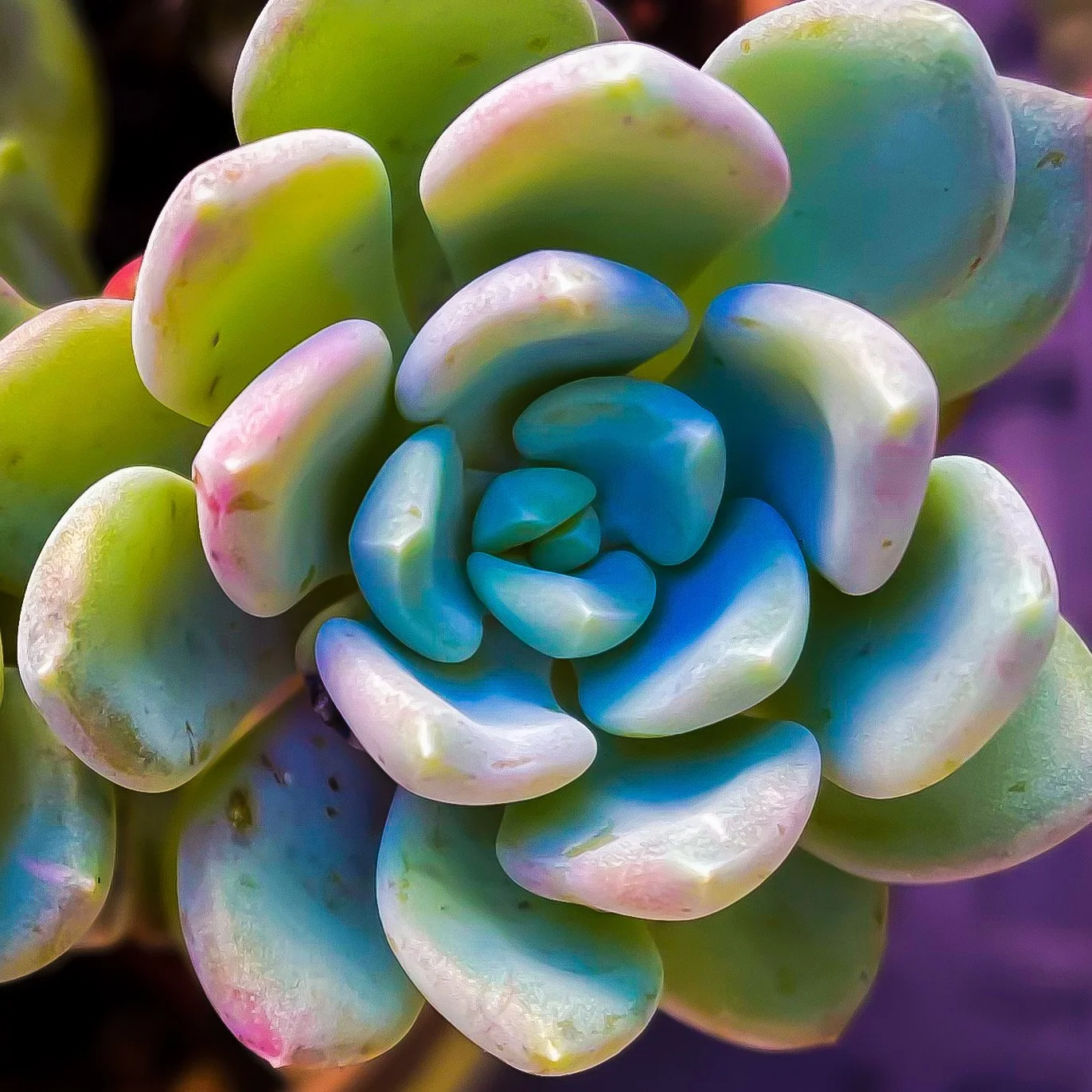 The Struggle To Find Inspiration