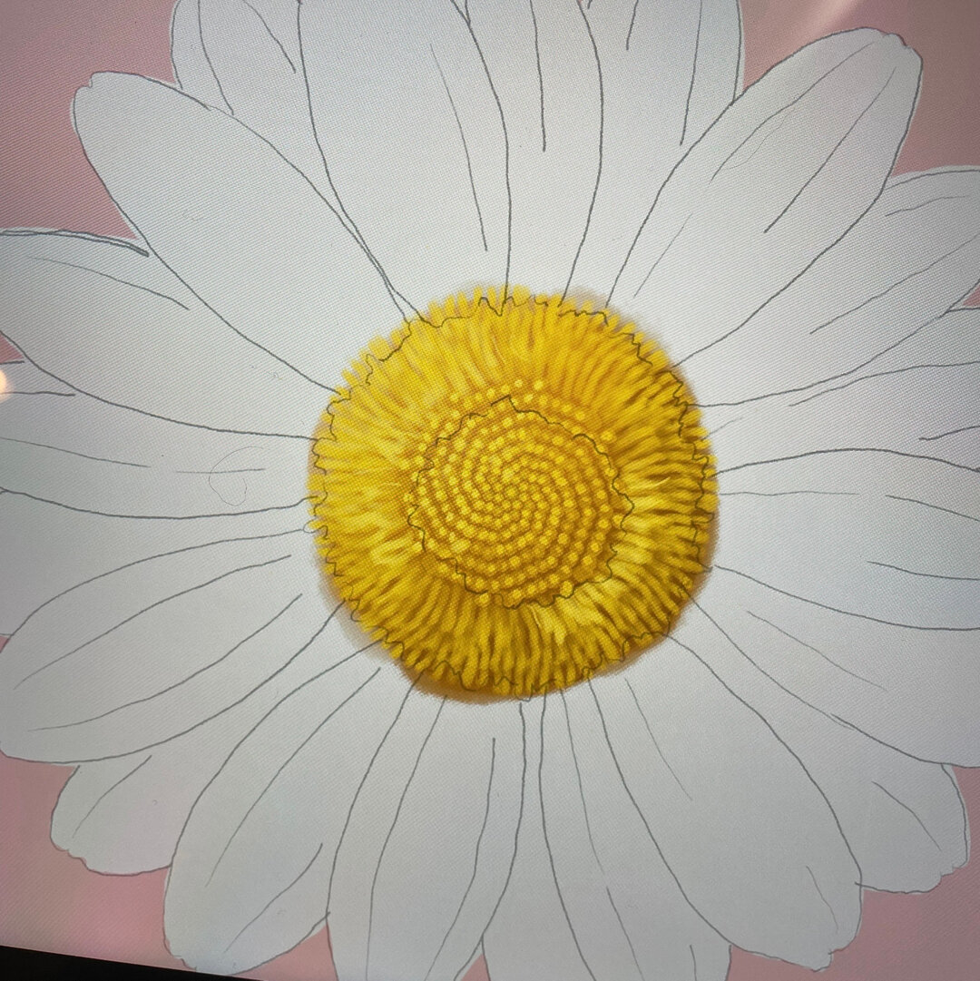 This one is kicking my ass&hellip;just a little. 😊​​​​​​​​​

#daisies #digitalillustration #procreate #illustrator #flowerillustration  #jessicamanelis #jkmfineart #jkmfineartphotography #newyear #createeveryday #artistlife #artist #createdaily #art