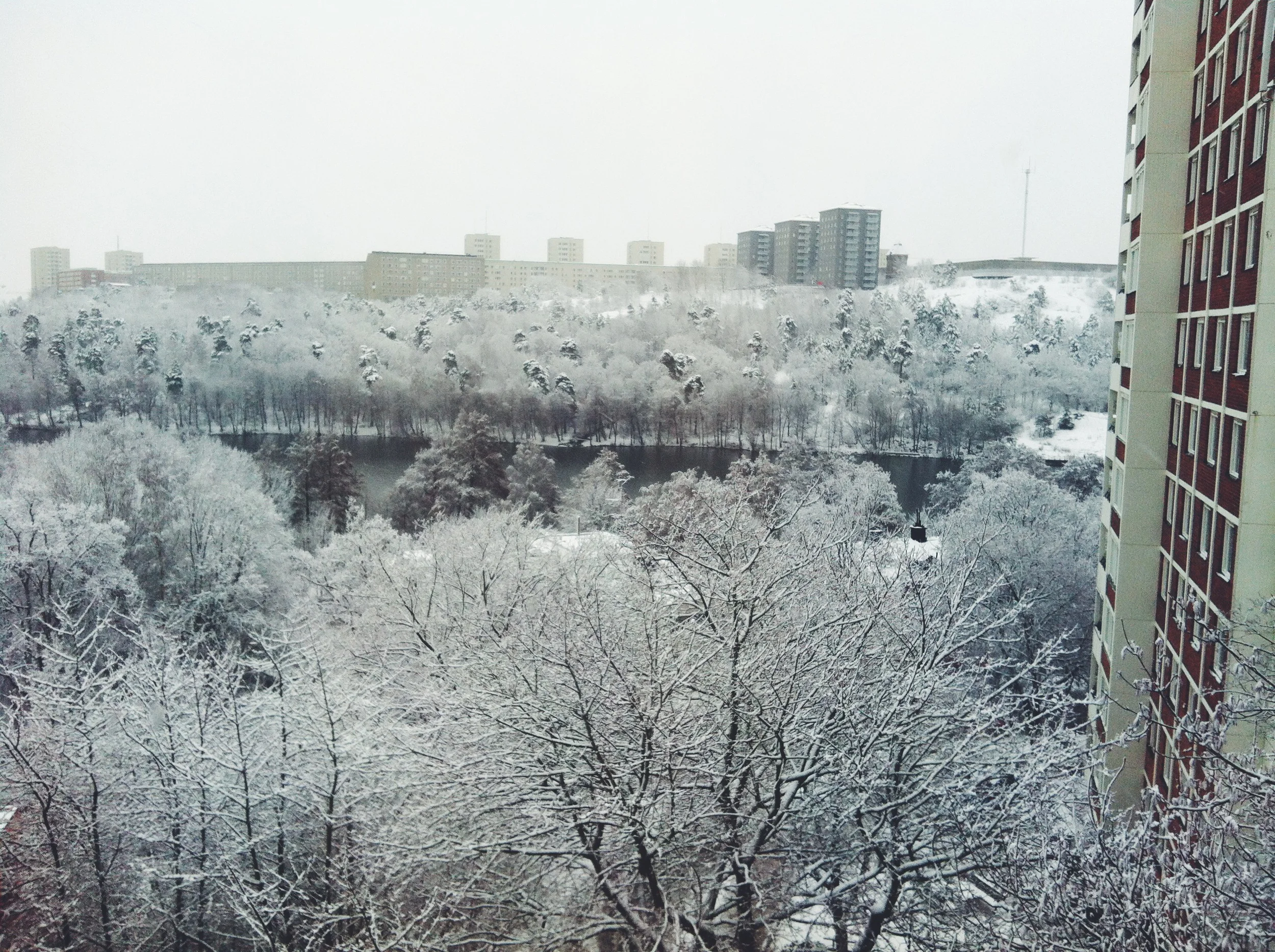the view from our window