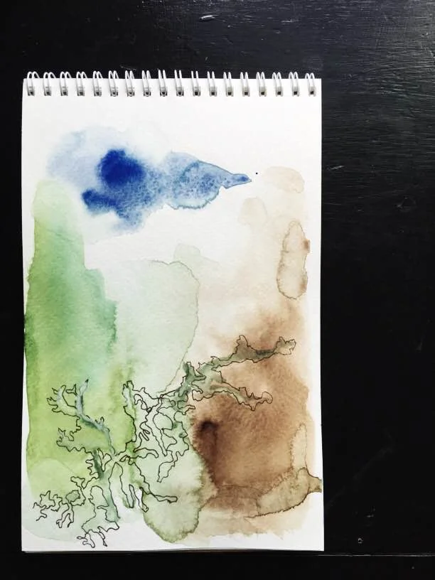inspired by the beautiful lichen