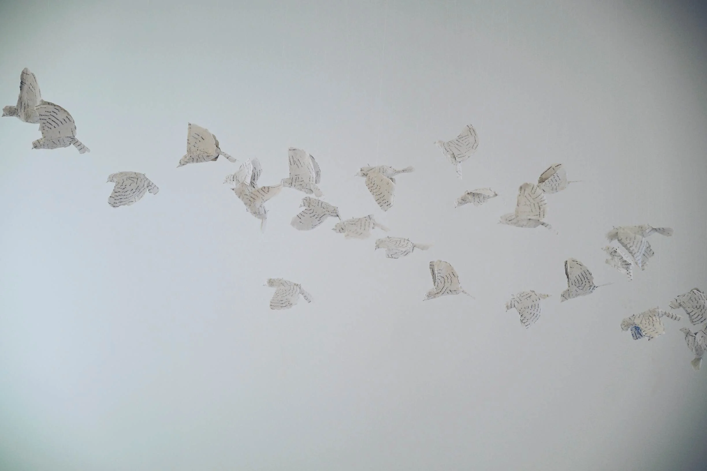 Taking Flight