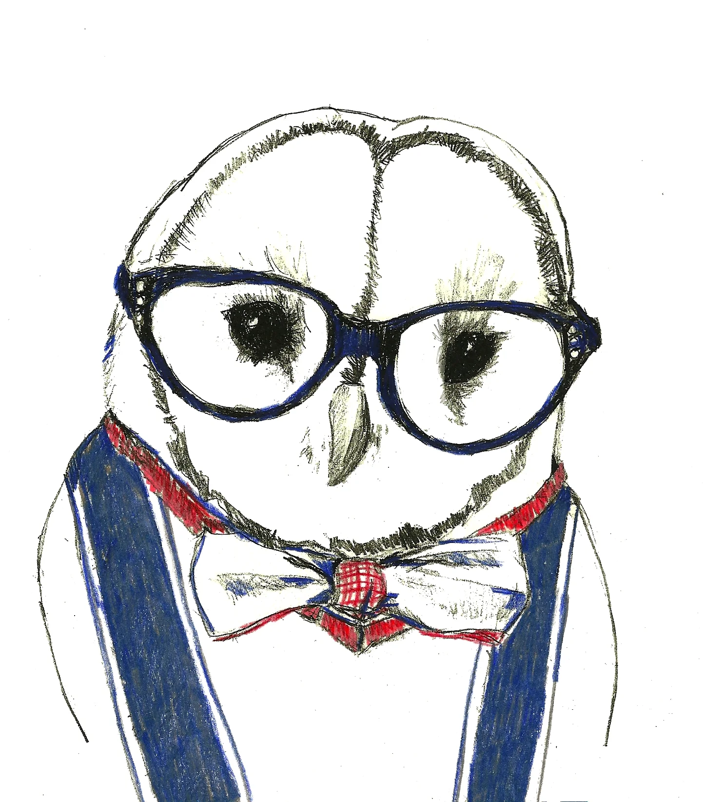 owlalbert2.jpg