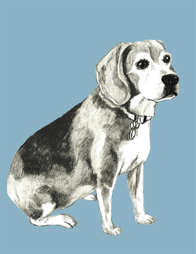 terrydogfull.jpg
