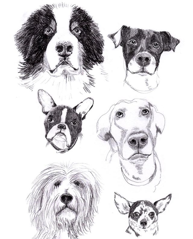 Happy National Dog Day!  #NationalDogDay
#nationaldogday #dog #cutedogs #dogs #dogsofinstagram #everybodysbestfriend #illustration #drawing #dogart