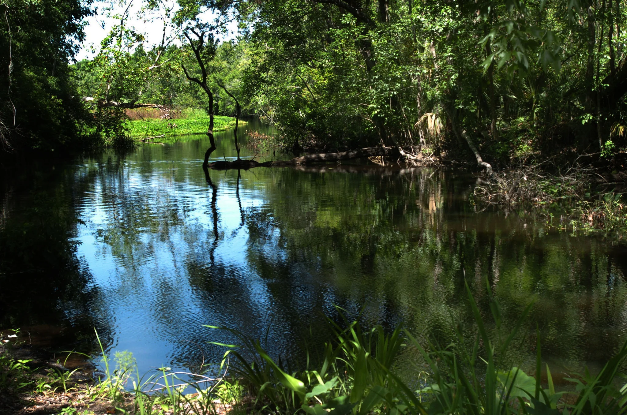 orl-rock-springs-2-19050505.jpg